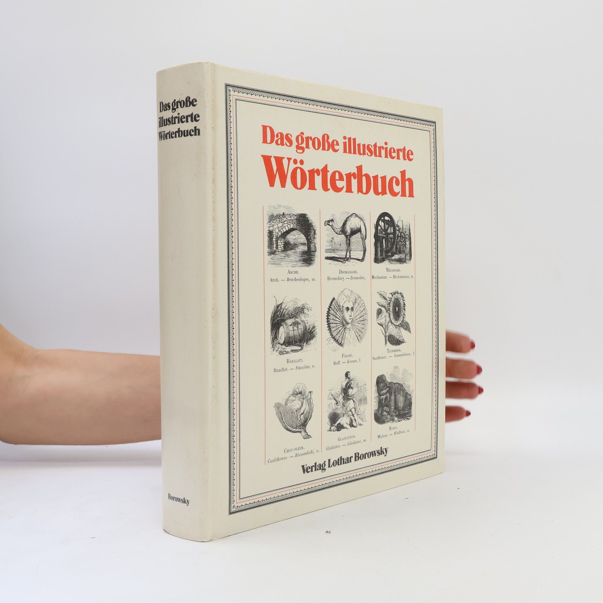 Autorenkollektiv Das große illustrierte Wörterbuch