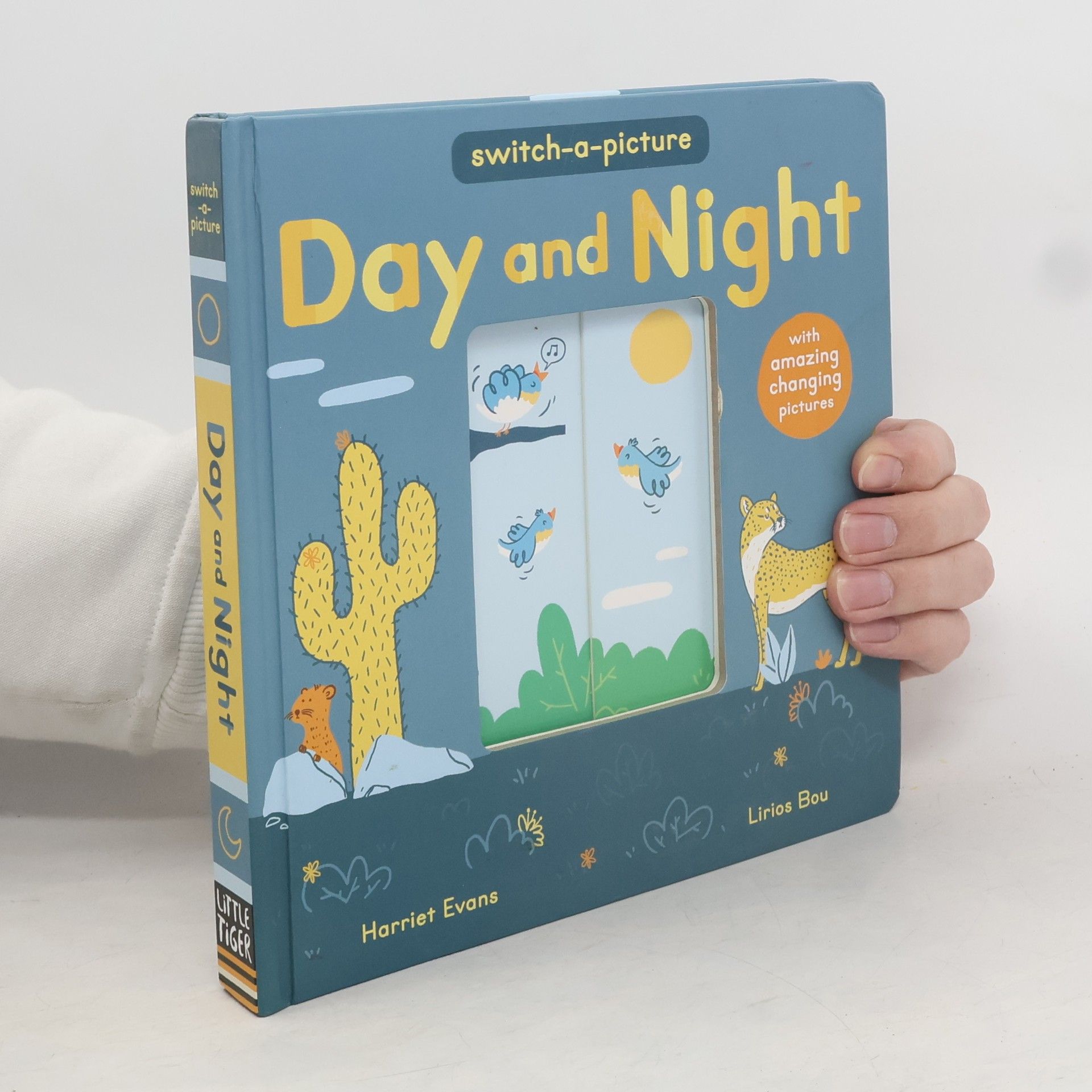 Lirios Bou Day and Night