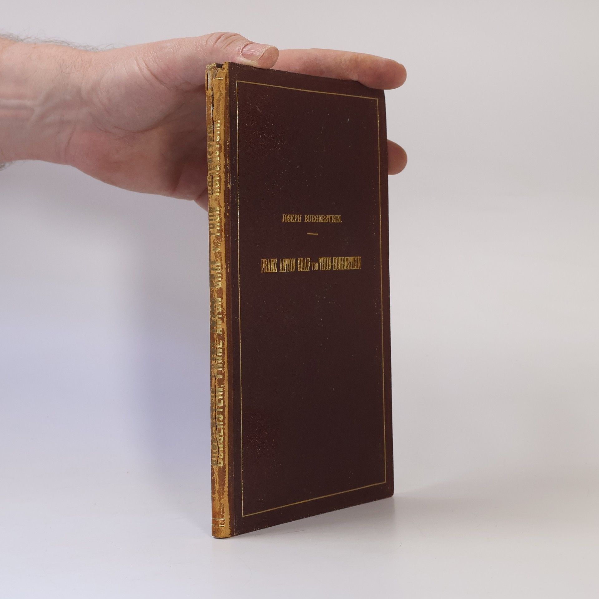 Josef Burgerstein Franz Anton Graf von Thun-Hohenstein