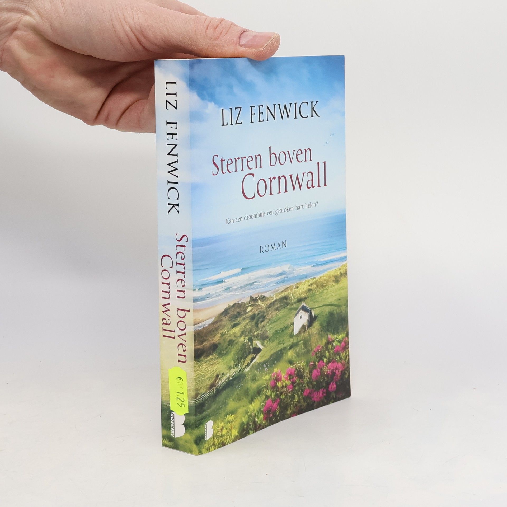 Sterren boven Cornwall