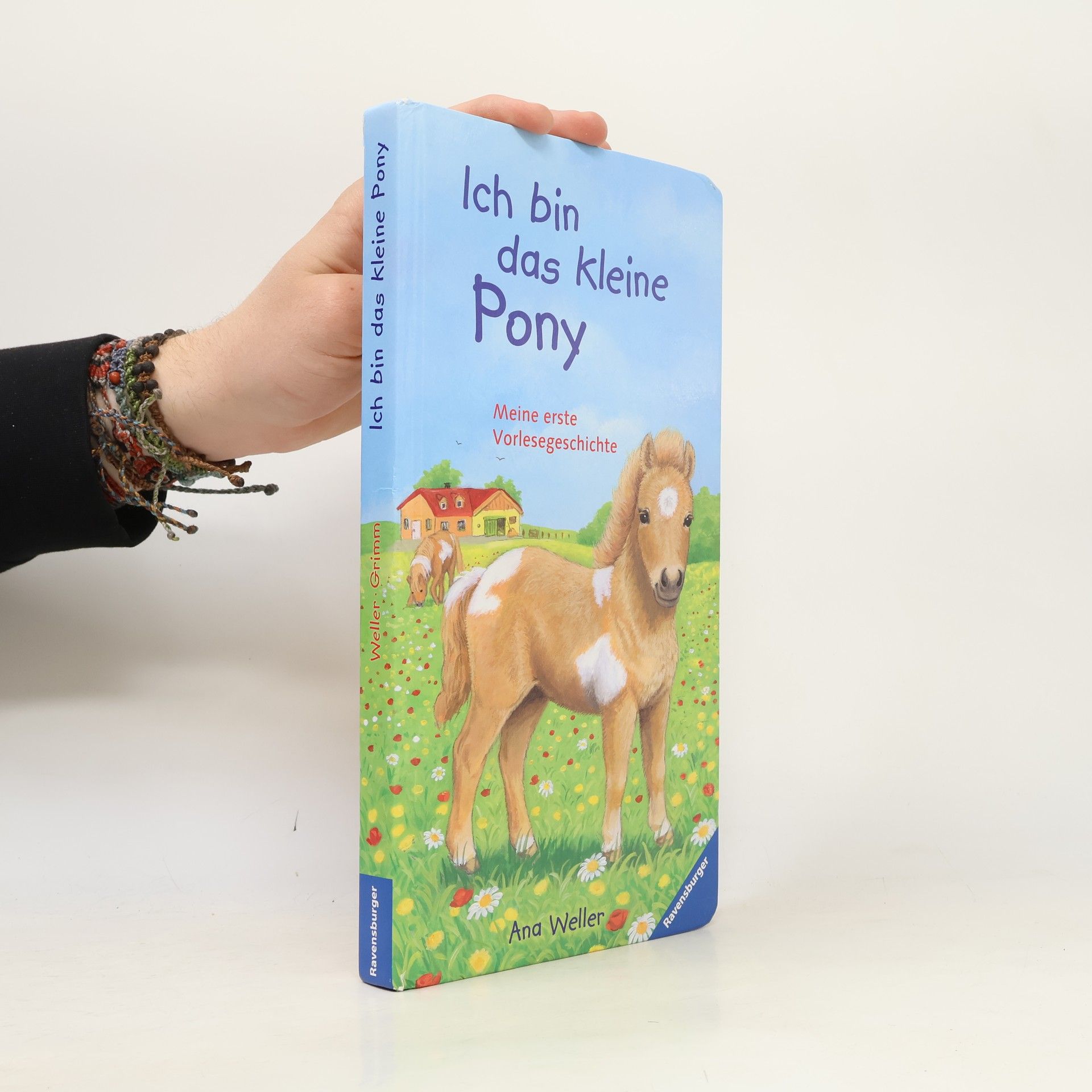 Ana Weller Ich bin das kleine Pony