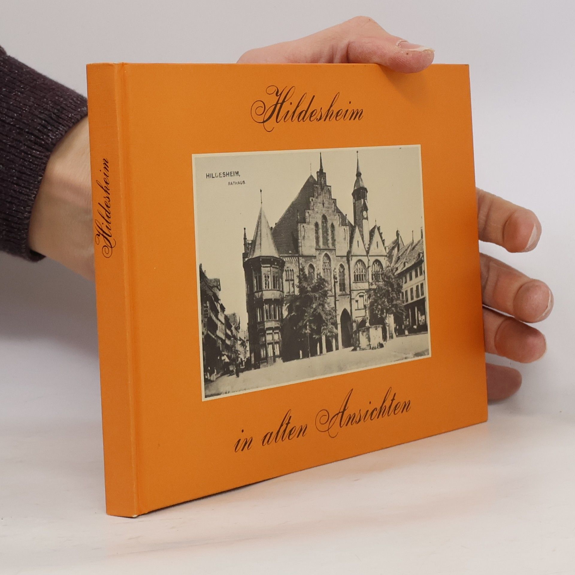Hildesheim in alten Ansichten
