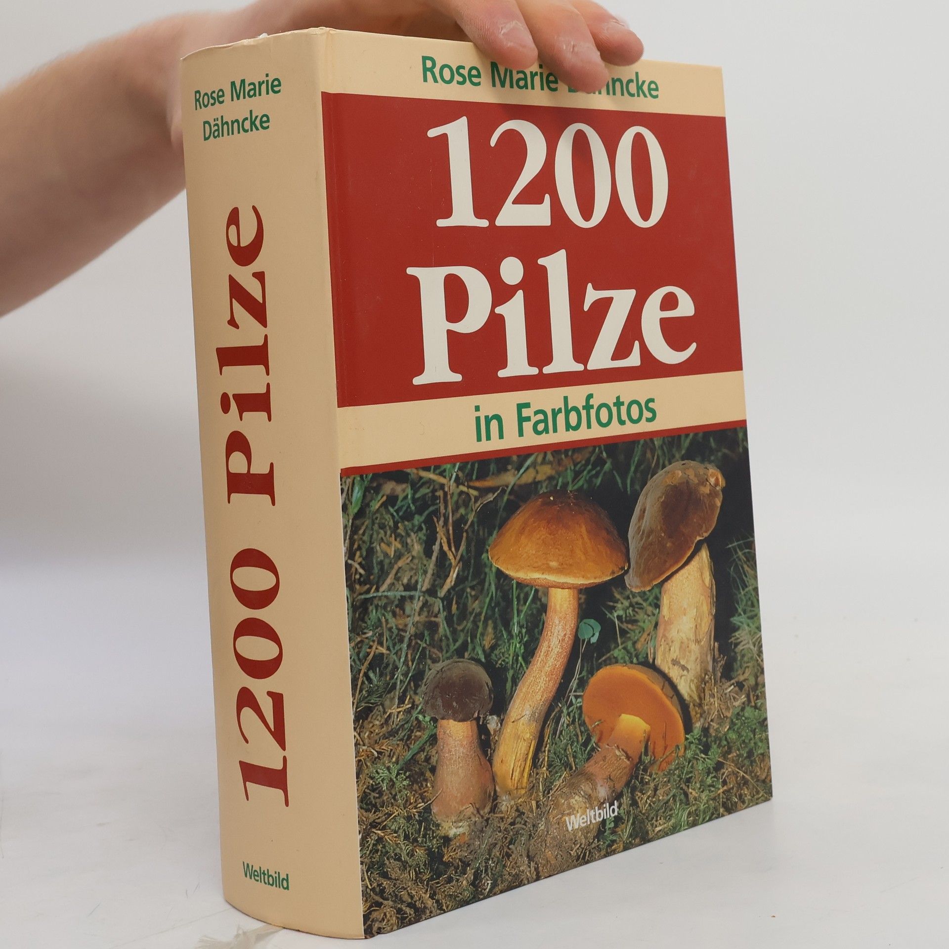 Rose Marie Dähncke 1200 Pilze in Farbfotos