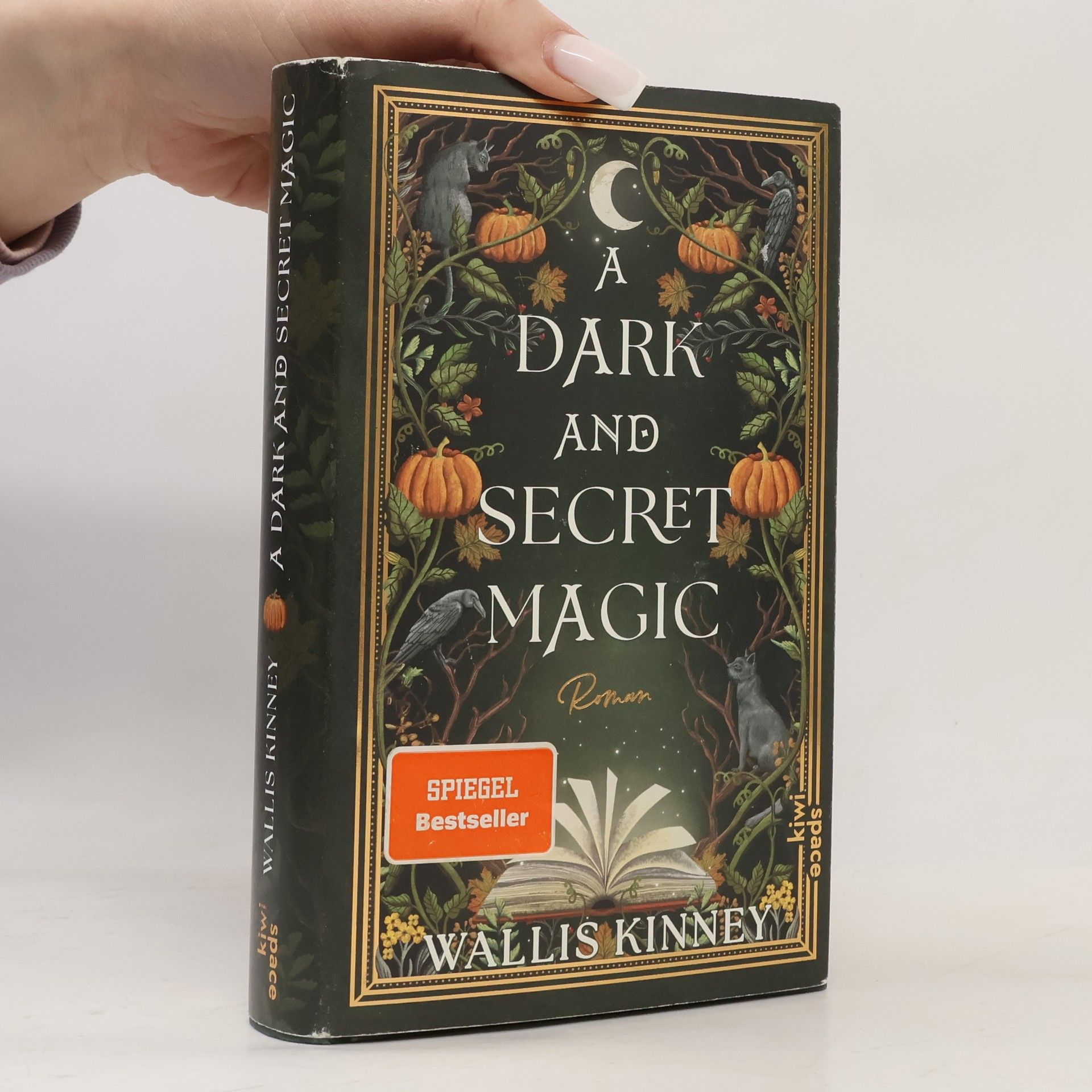Wallis Kinney A Dark and Secret Magic