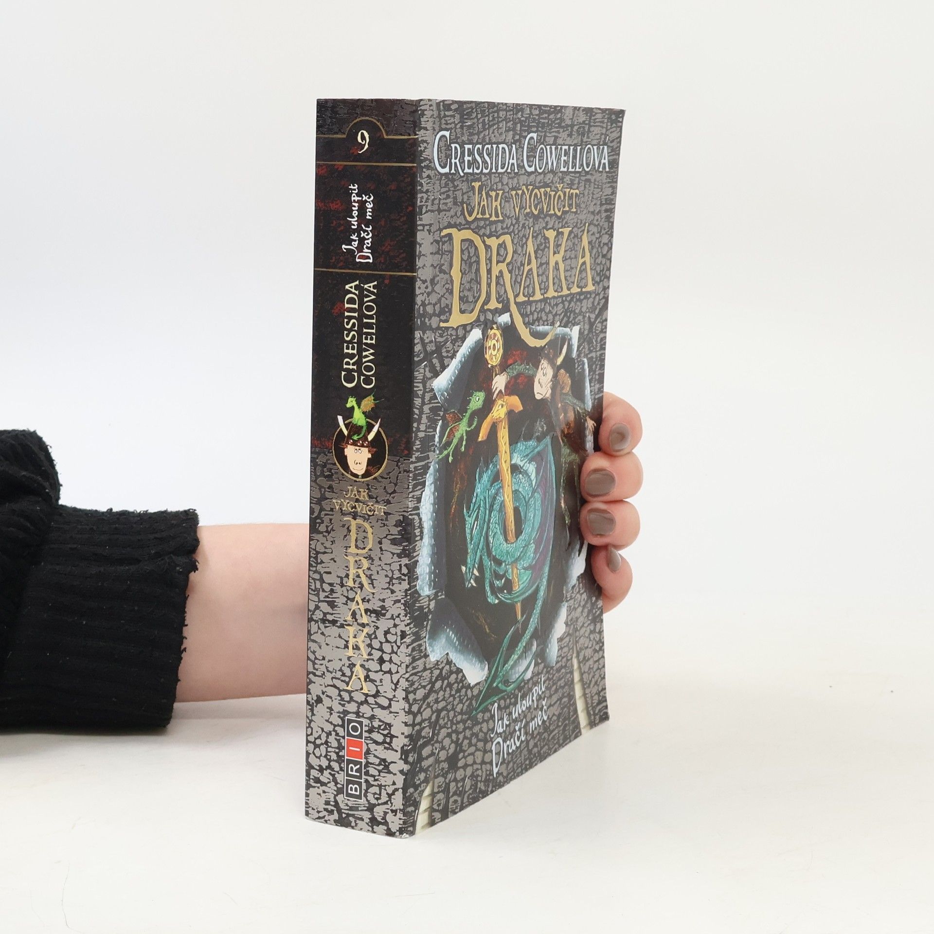 Cressida Cowell Jak uloupit dračí meč