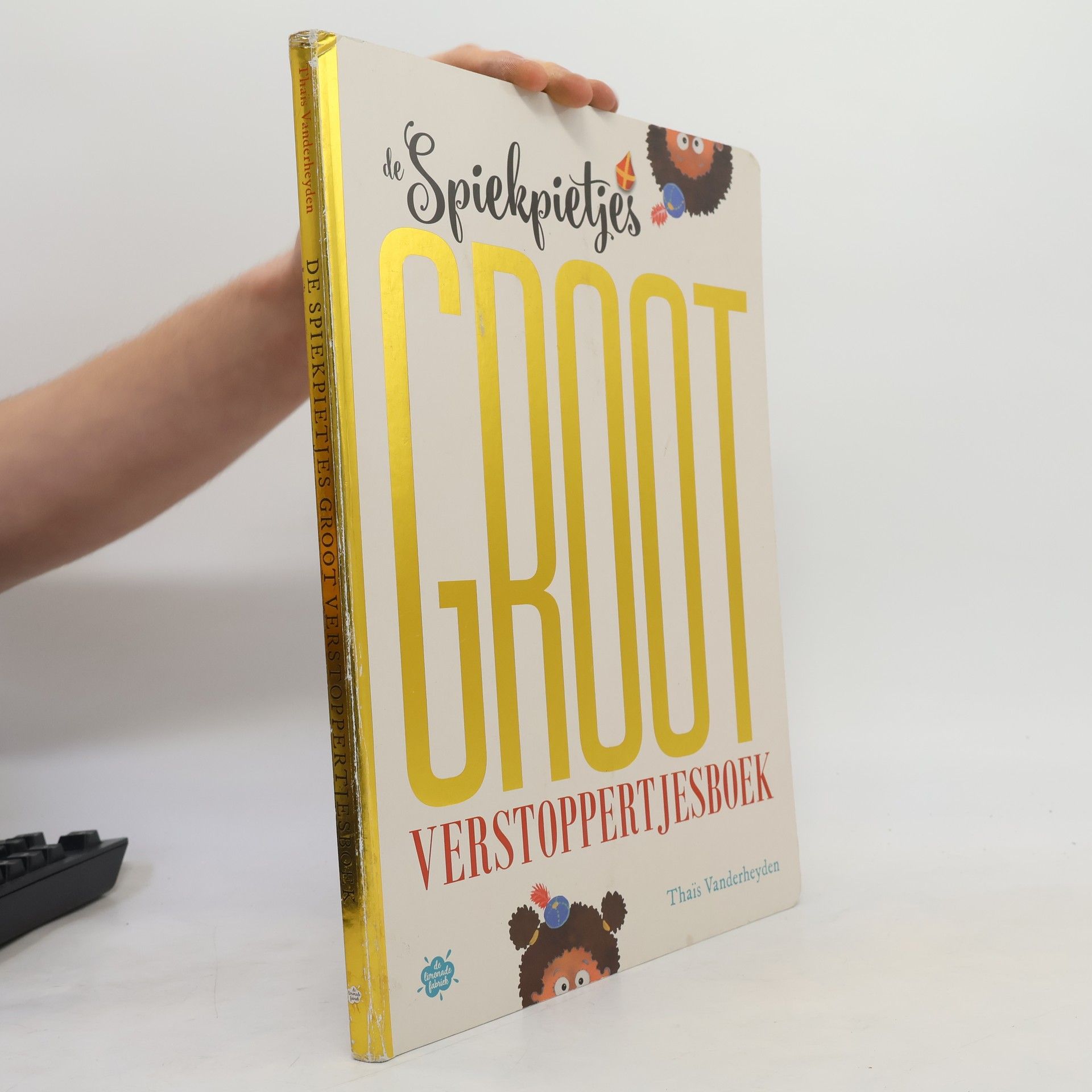 De Spiekpietjes groot Verstoppertjesboek