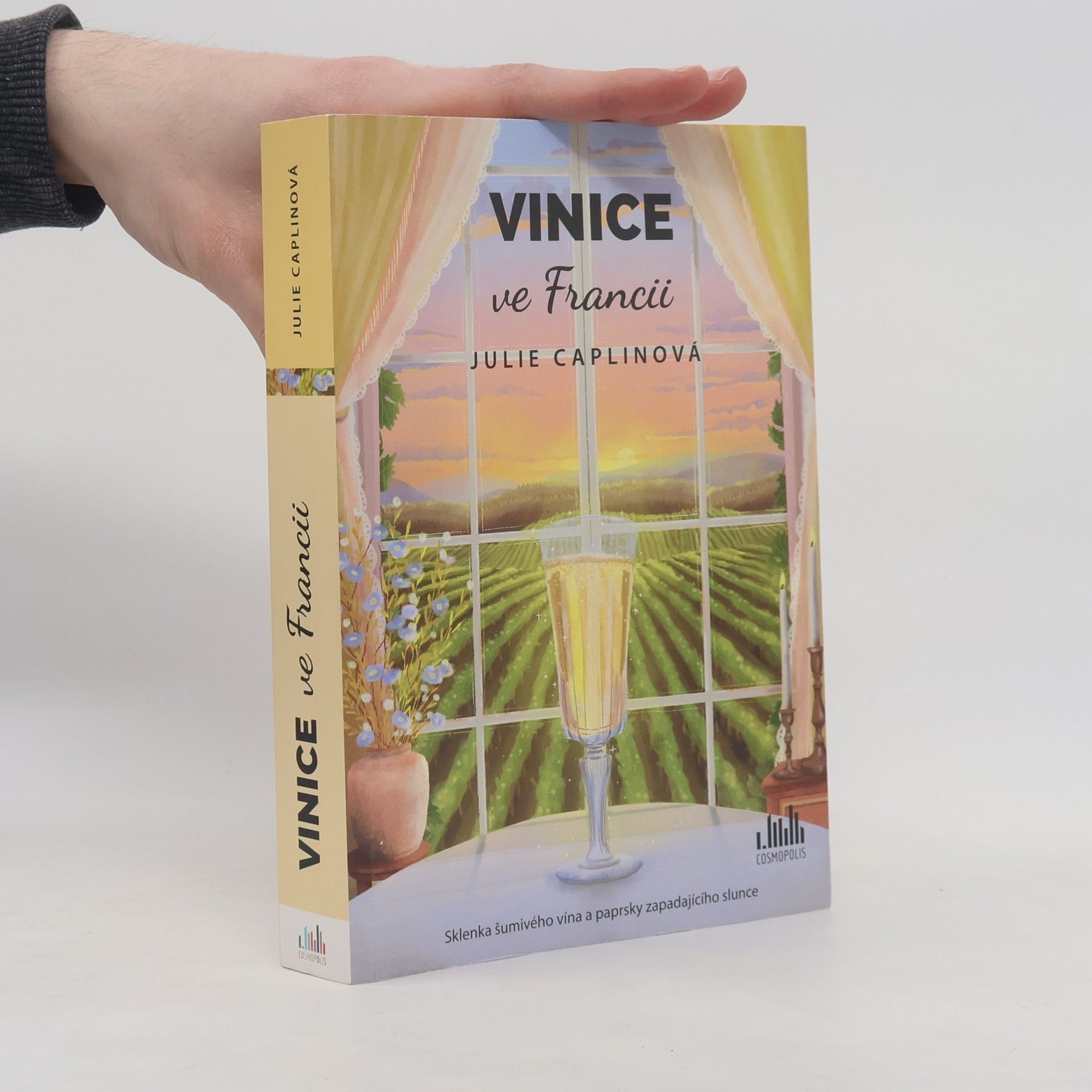 Julie Caplin Vinice ve Francii