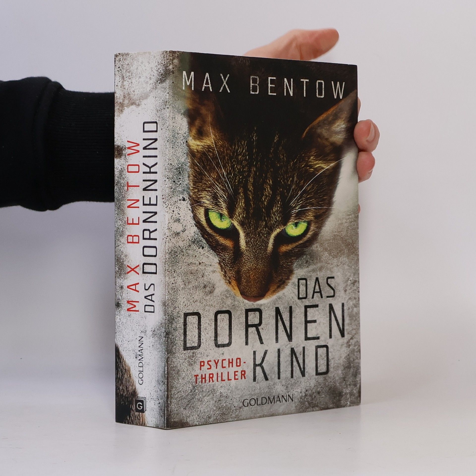 Max Bentow Das Dornenkind