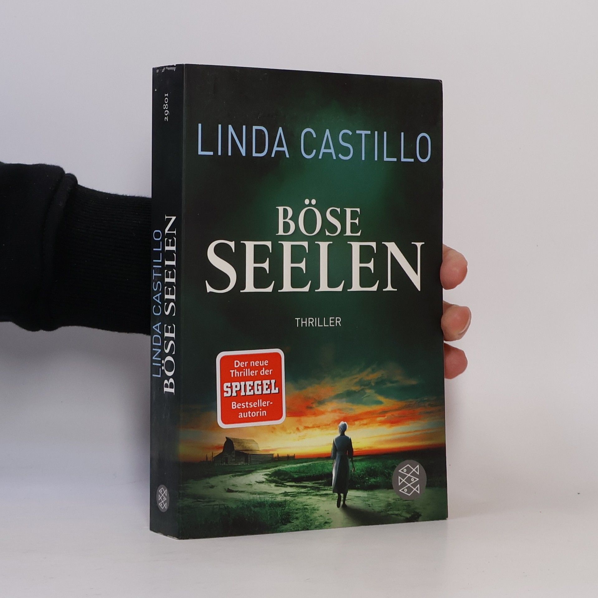 Linda Castillo Böse Seelen