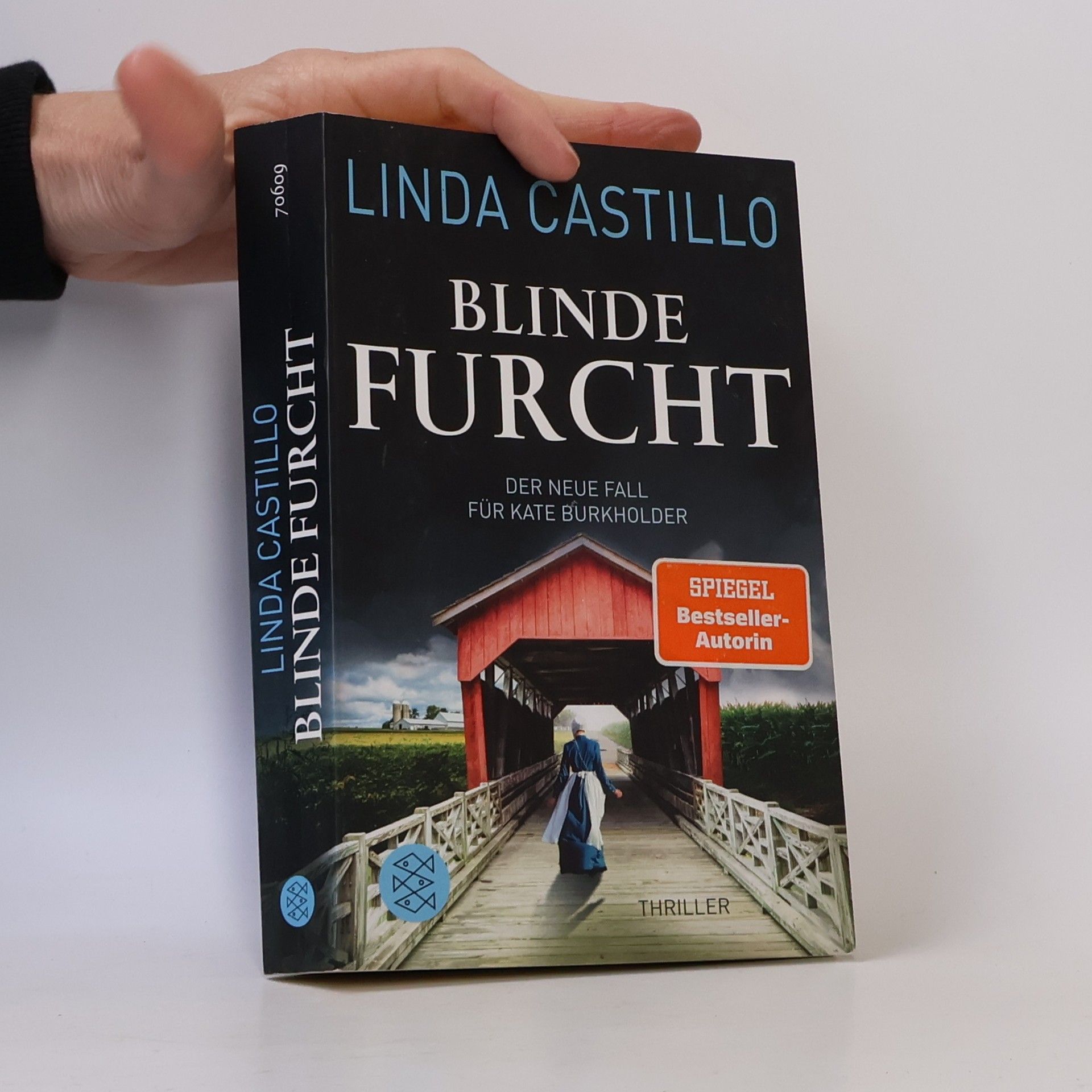 Linda Castillo Blinde Furcht