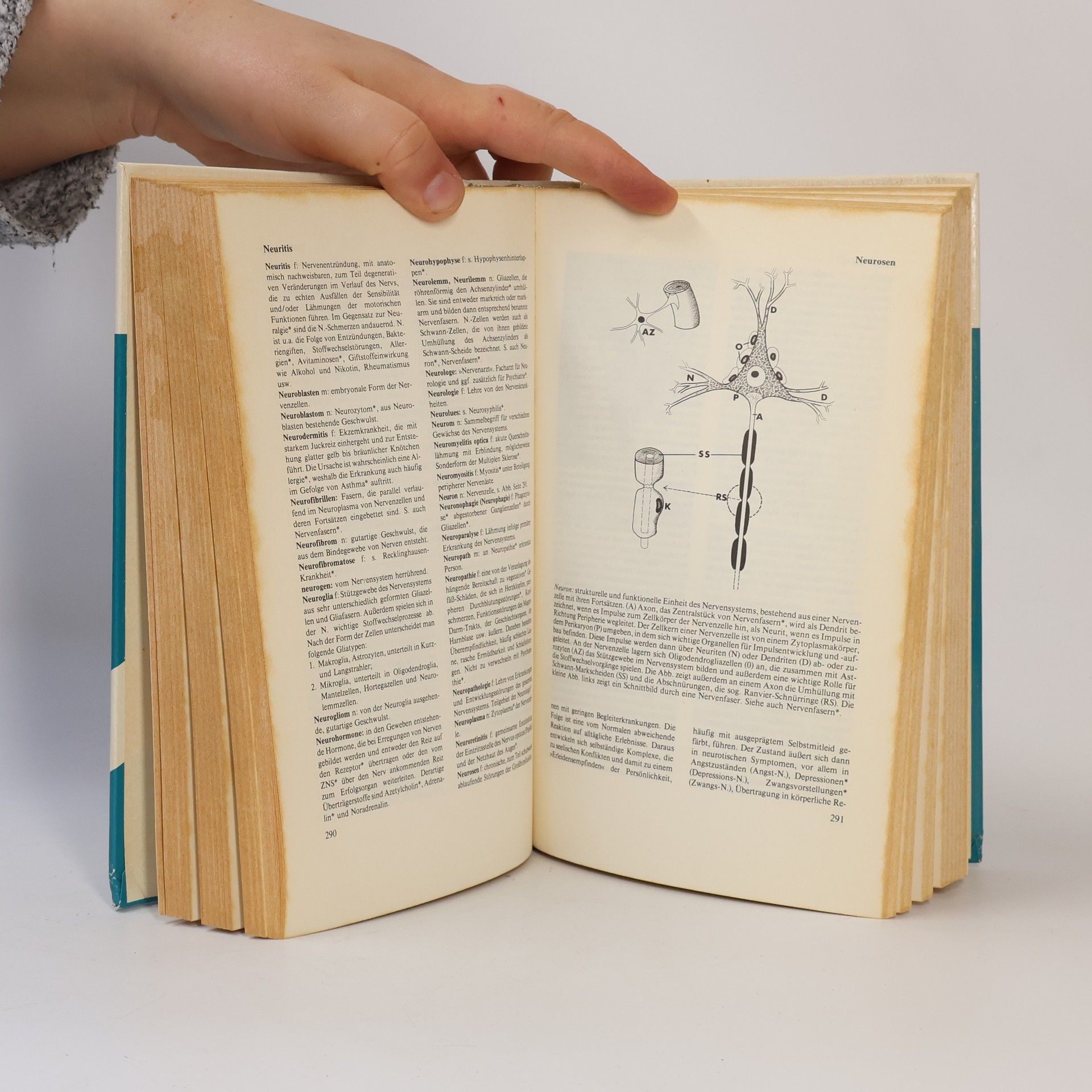 Josef Hammerschmid Gollwitzer Wörterbuch der medizinischen Fachausdrücke