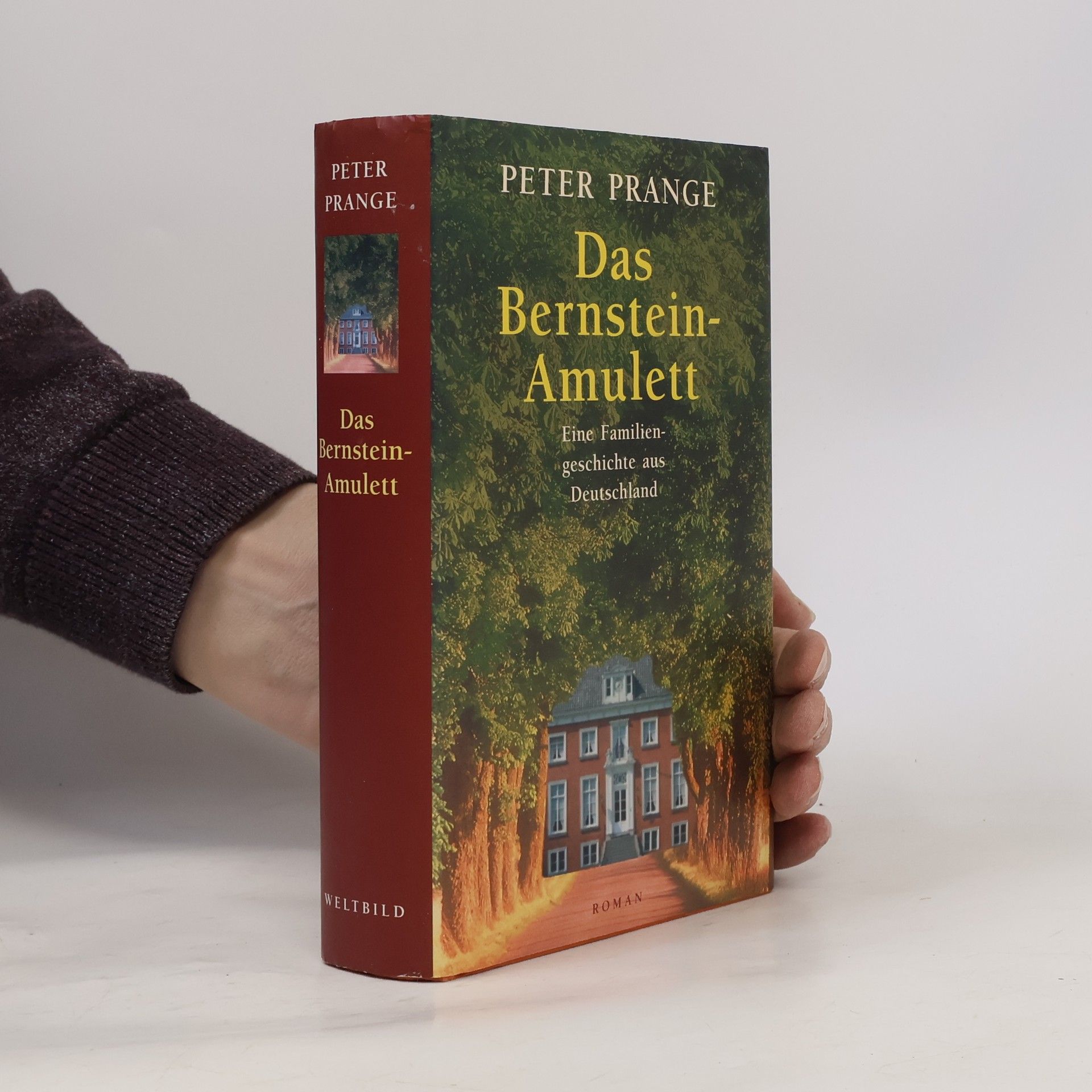 Peter Prange Das Bernstein-Amulett