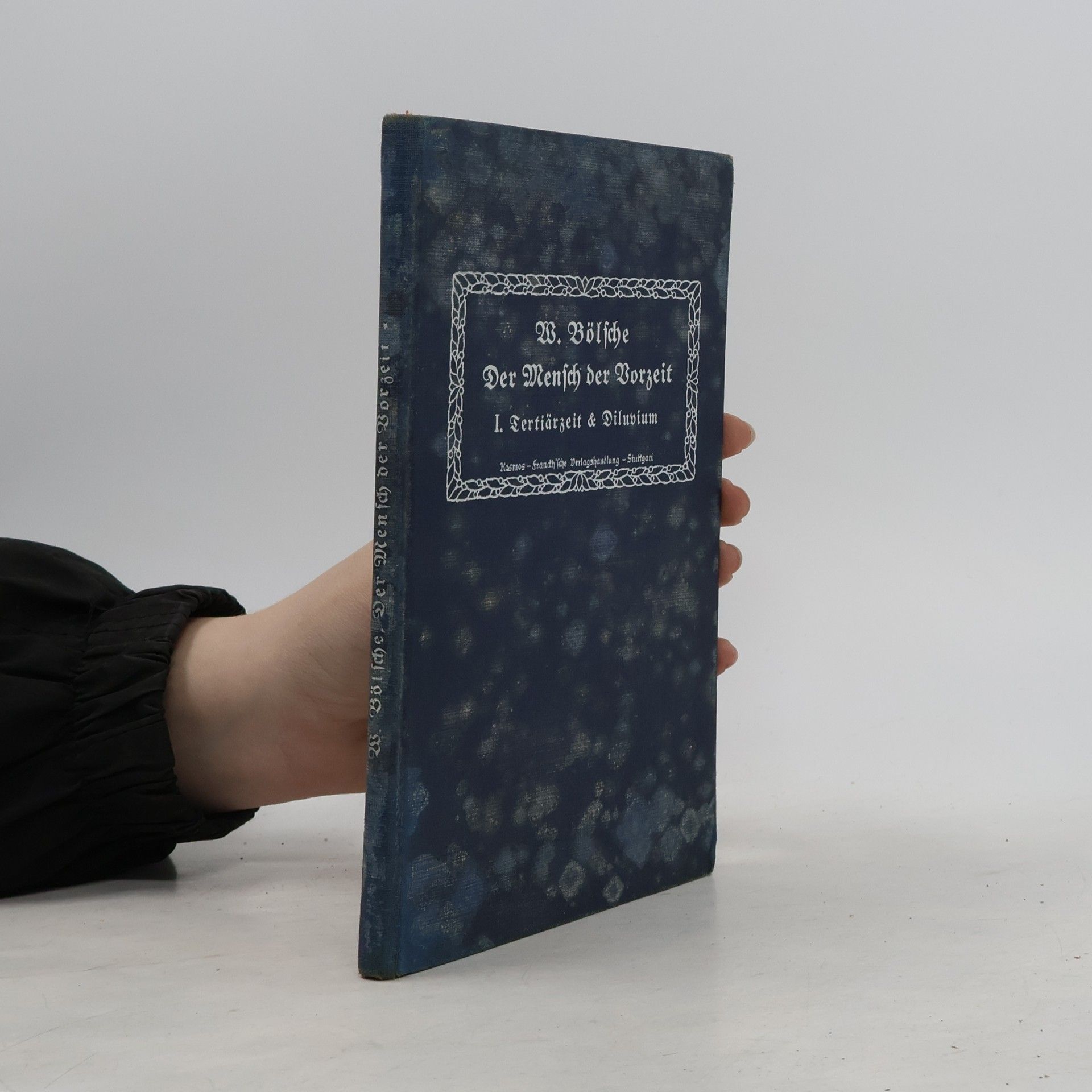 Wilhelm Bölsche Der Mensch der Vorzeit