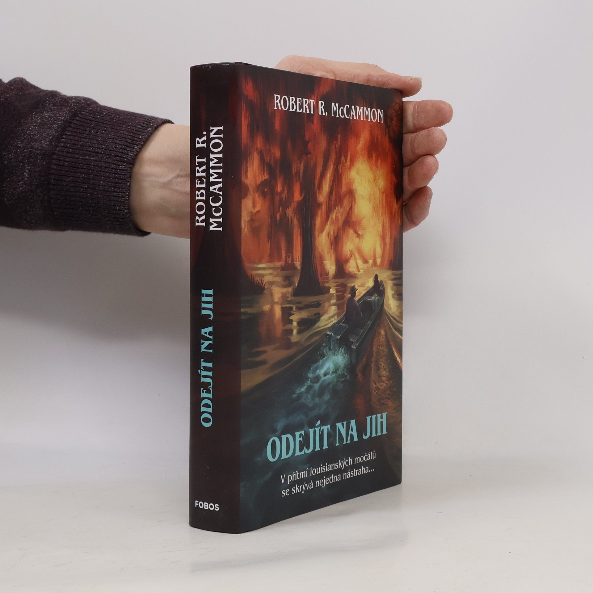 Robert R. McCammon Odejít na jih