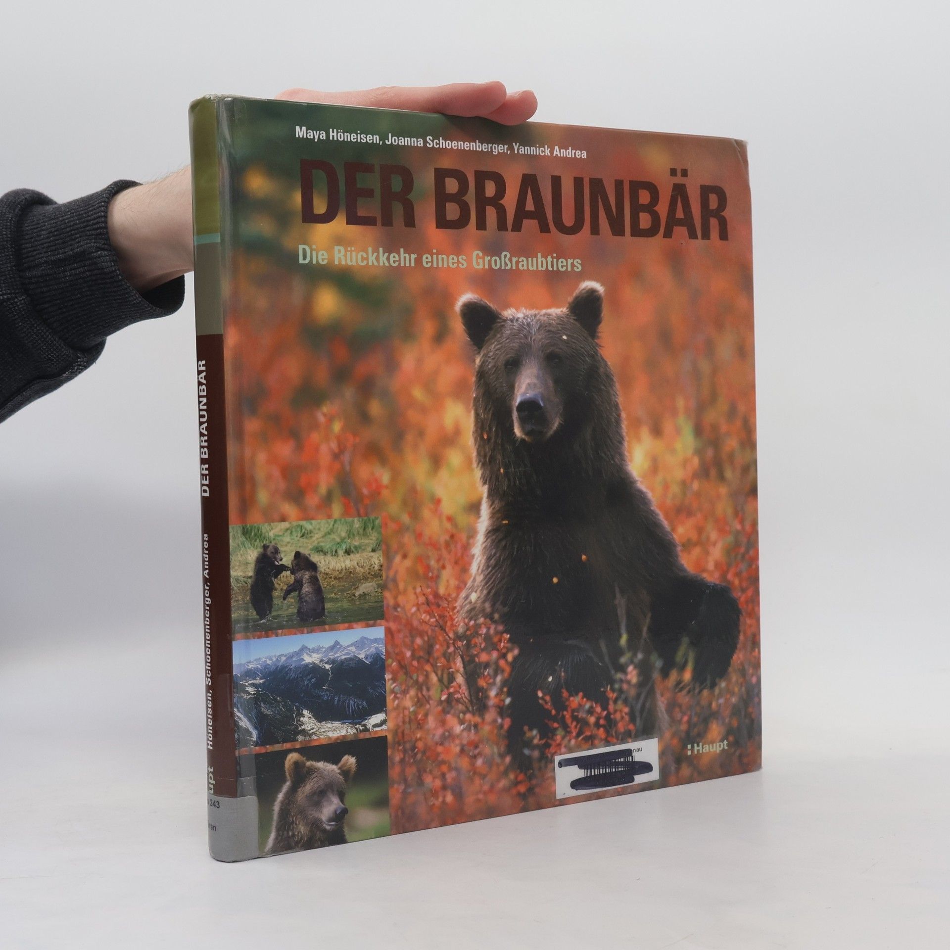 Maya Höneisen Der Braunbär