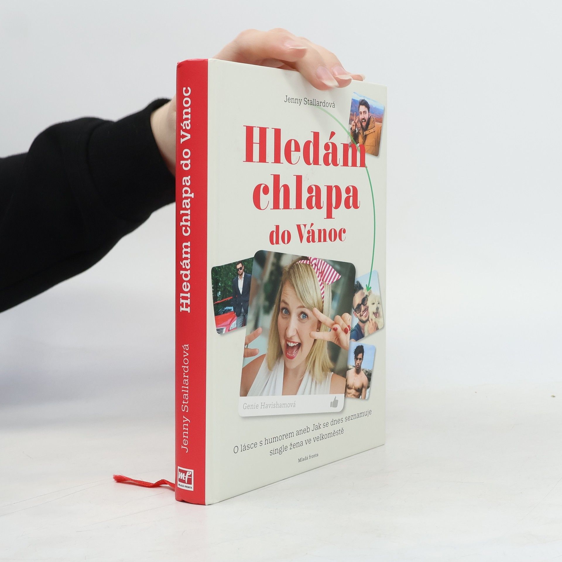 Jenny Stallard Hledám chlapa do Vánoc