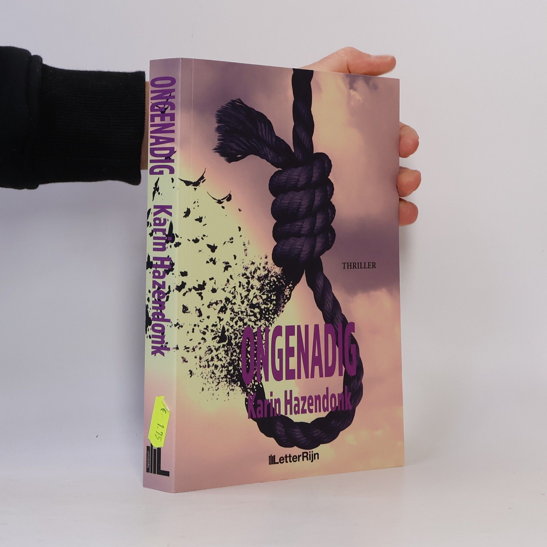 Karin Hazendonk Ongenadig