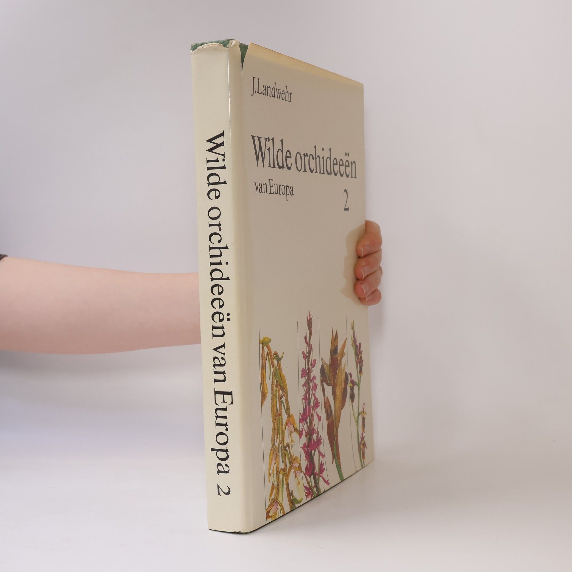 Jacobus Landwehr Wilde orchideeën van Europa