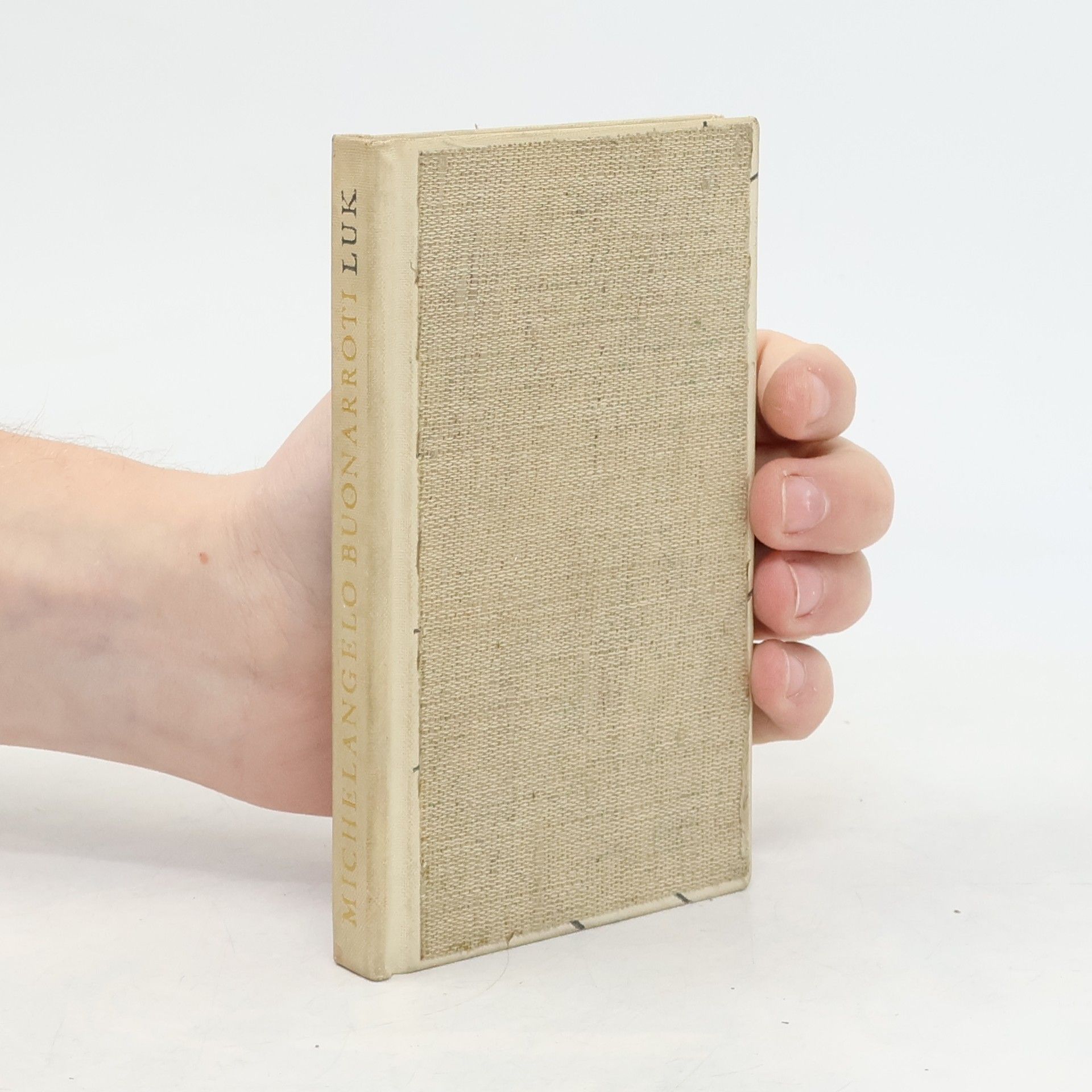 Michelangelo Luk. Výbor z lyriky