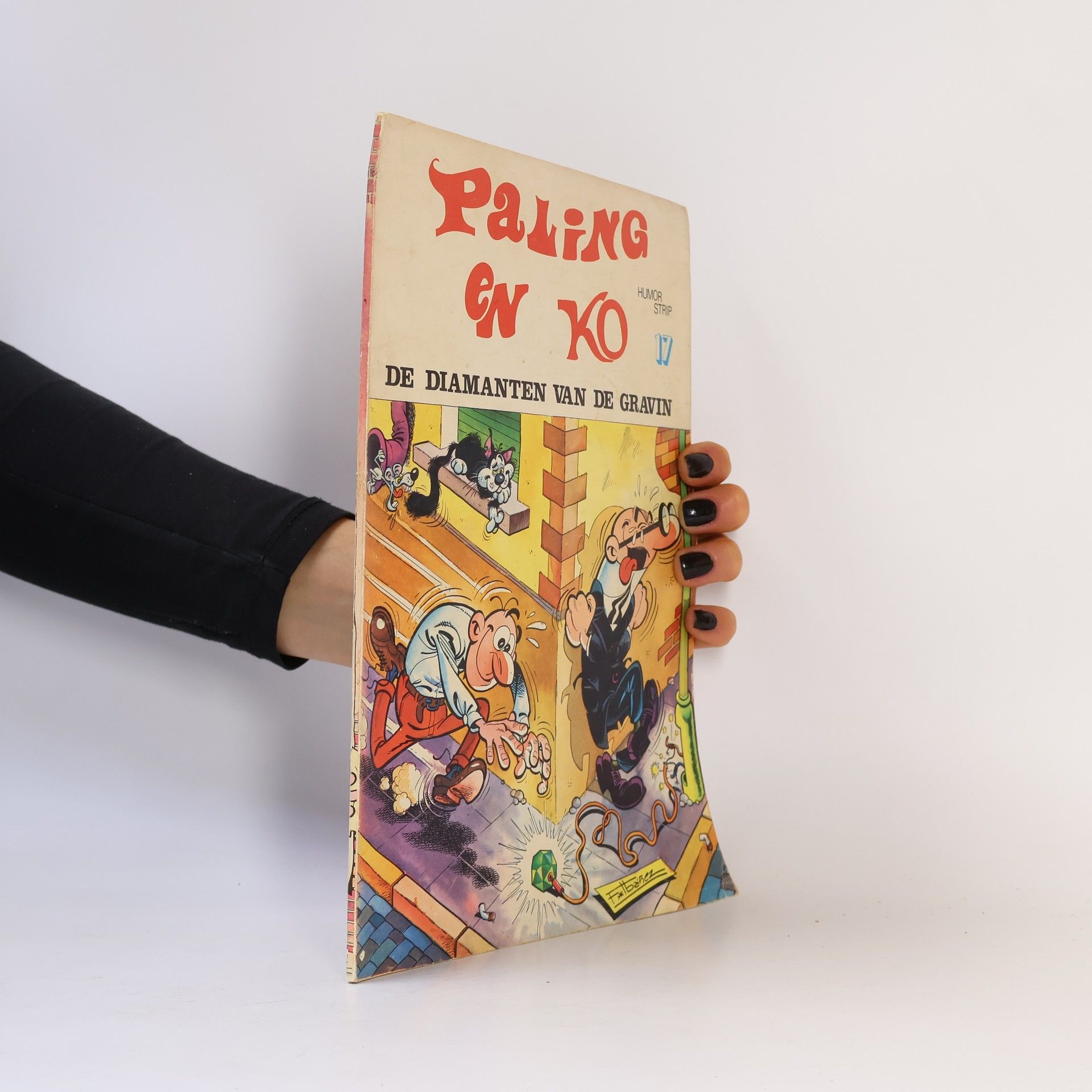 AA.VV. Paling en Ko 17