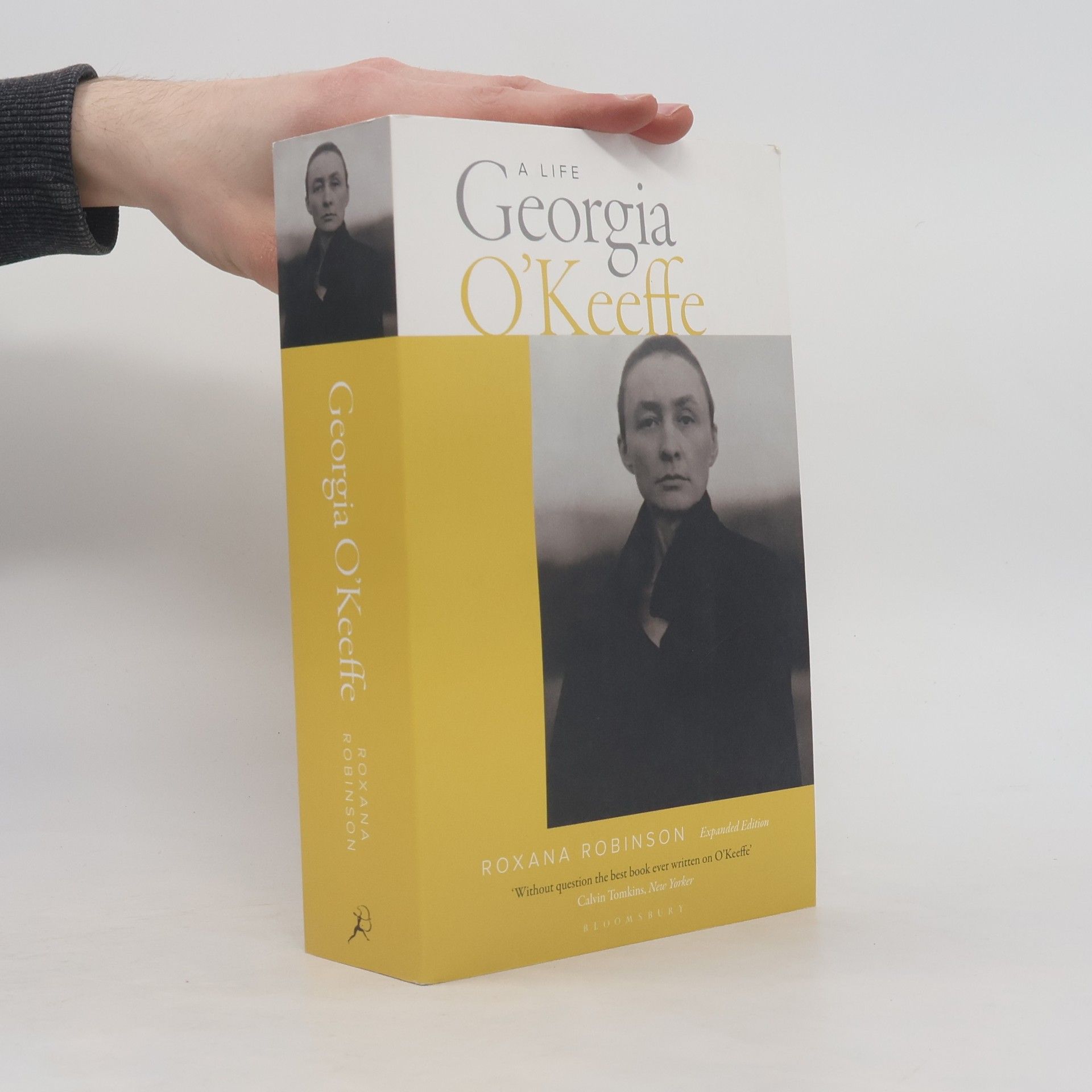 Roxana Robinson Georgia O'Keeffe: A Life (new edition)
