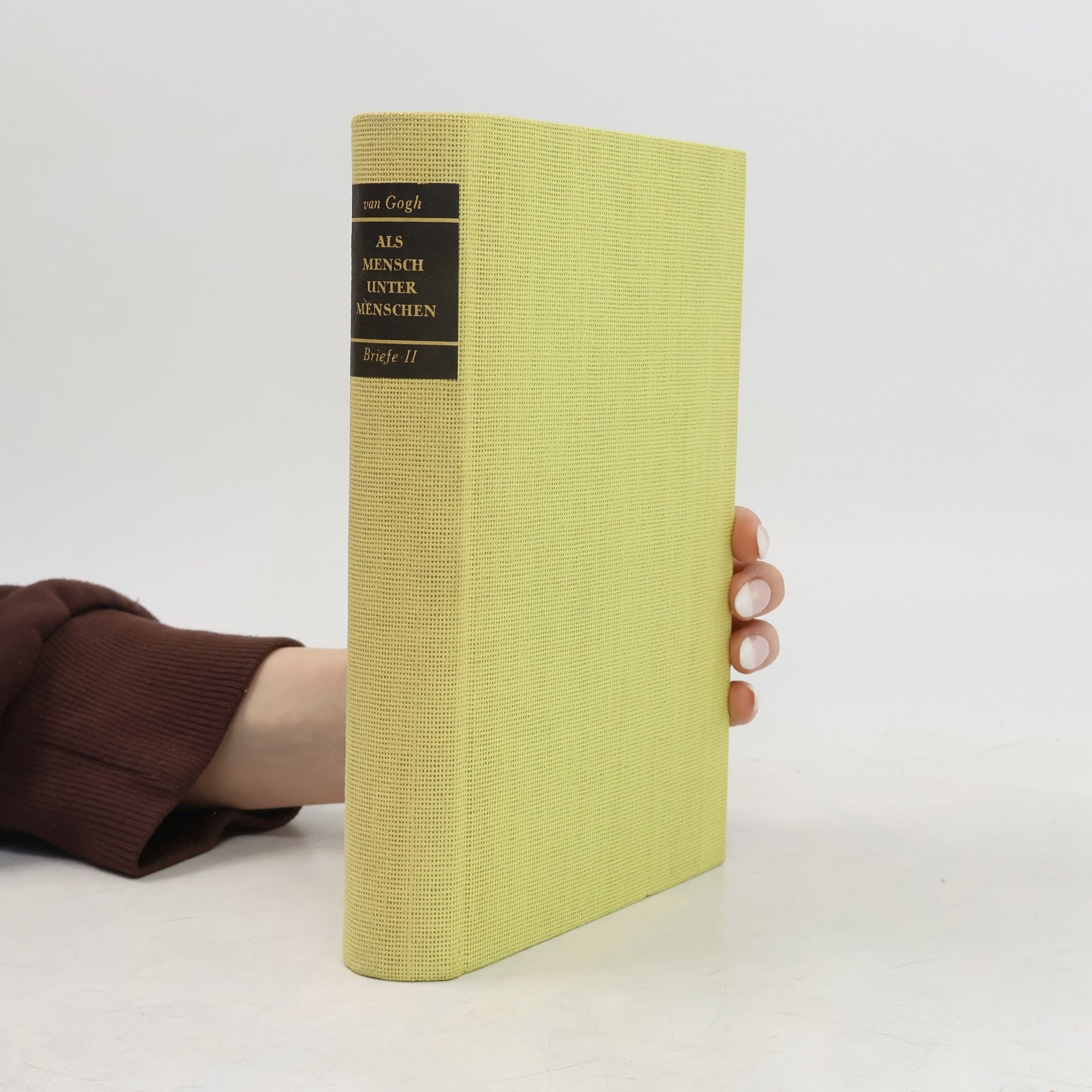 Vincent van Gogh Als Mensch unter Menschen. Briefe II