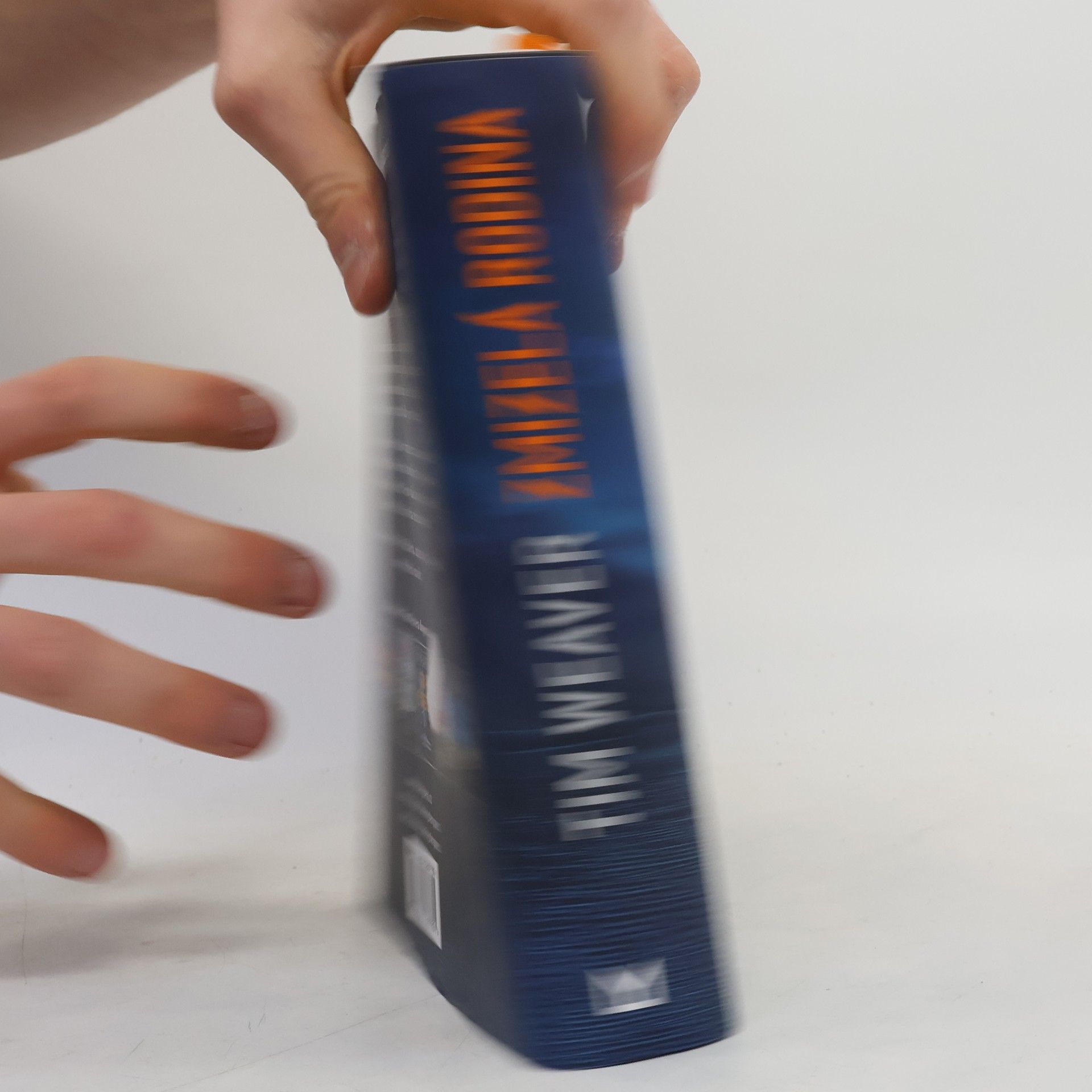 Tim Weaver Zmizelá rodina