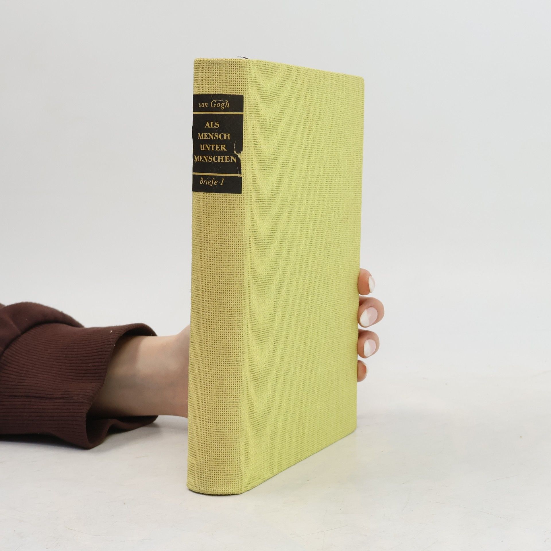 Vincent van Gogh Als Mensch unter Menschen. Briefe I