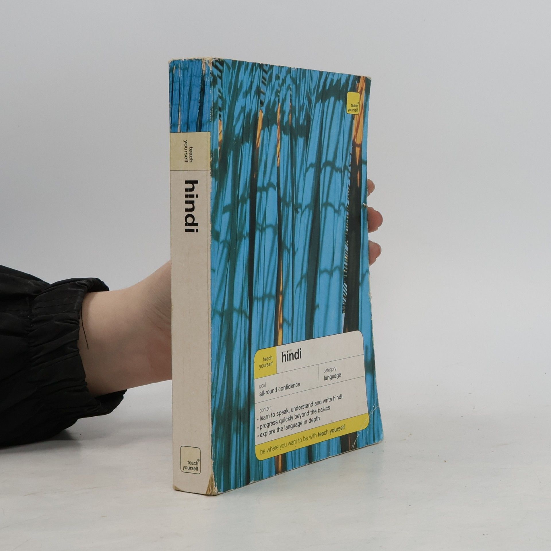 Rupert Snell Teach Yourself: Hindi