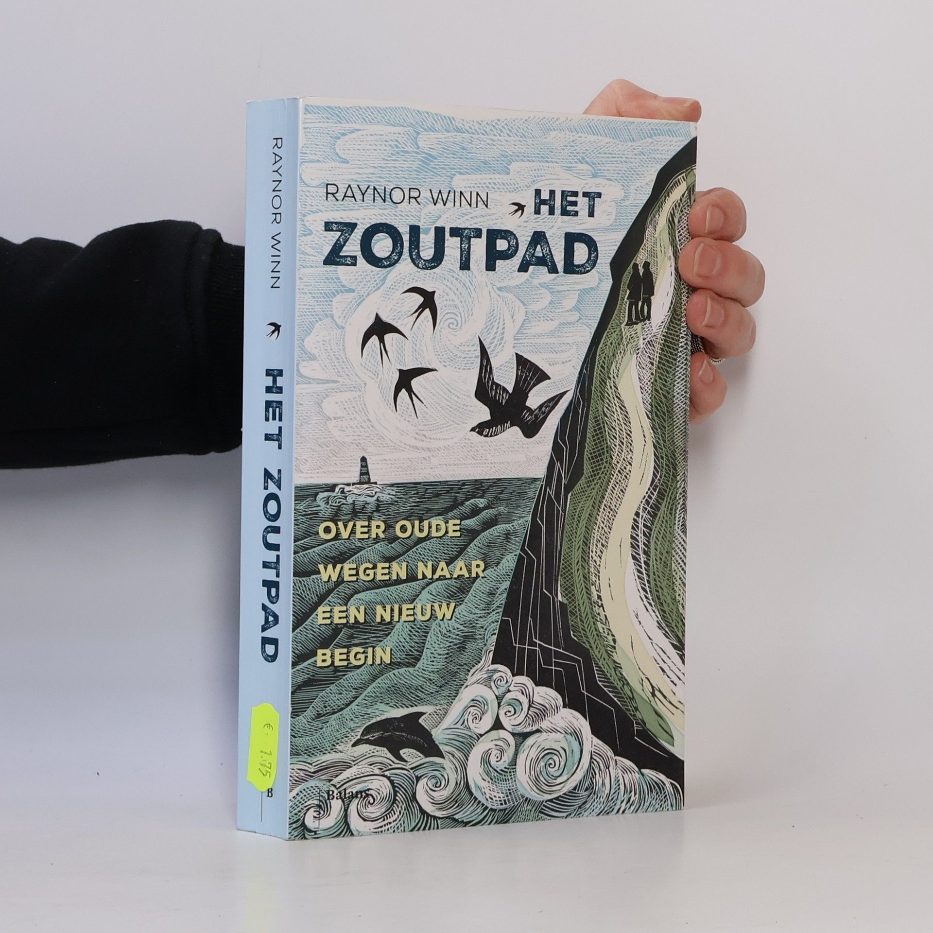Het zoutpad