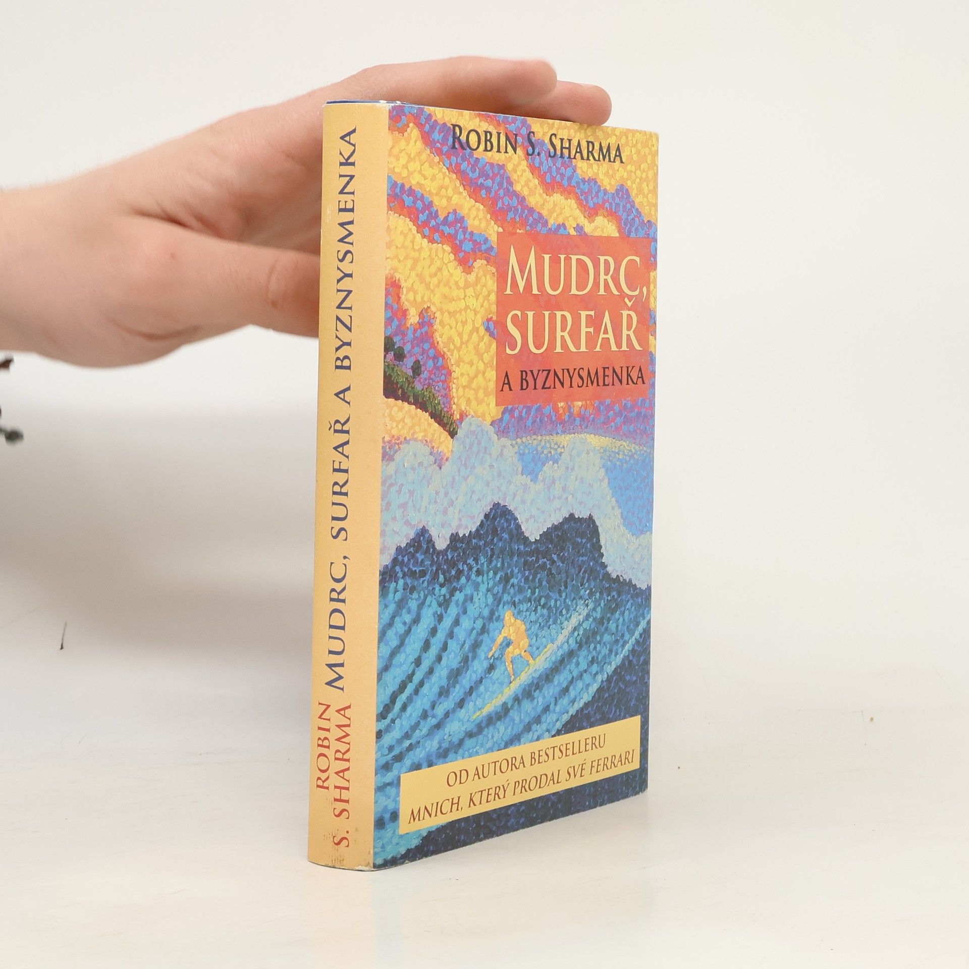 Robin Sharma Mudrc, surfař a byznysmenka