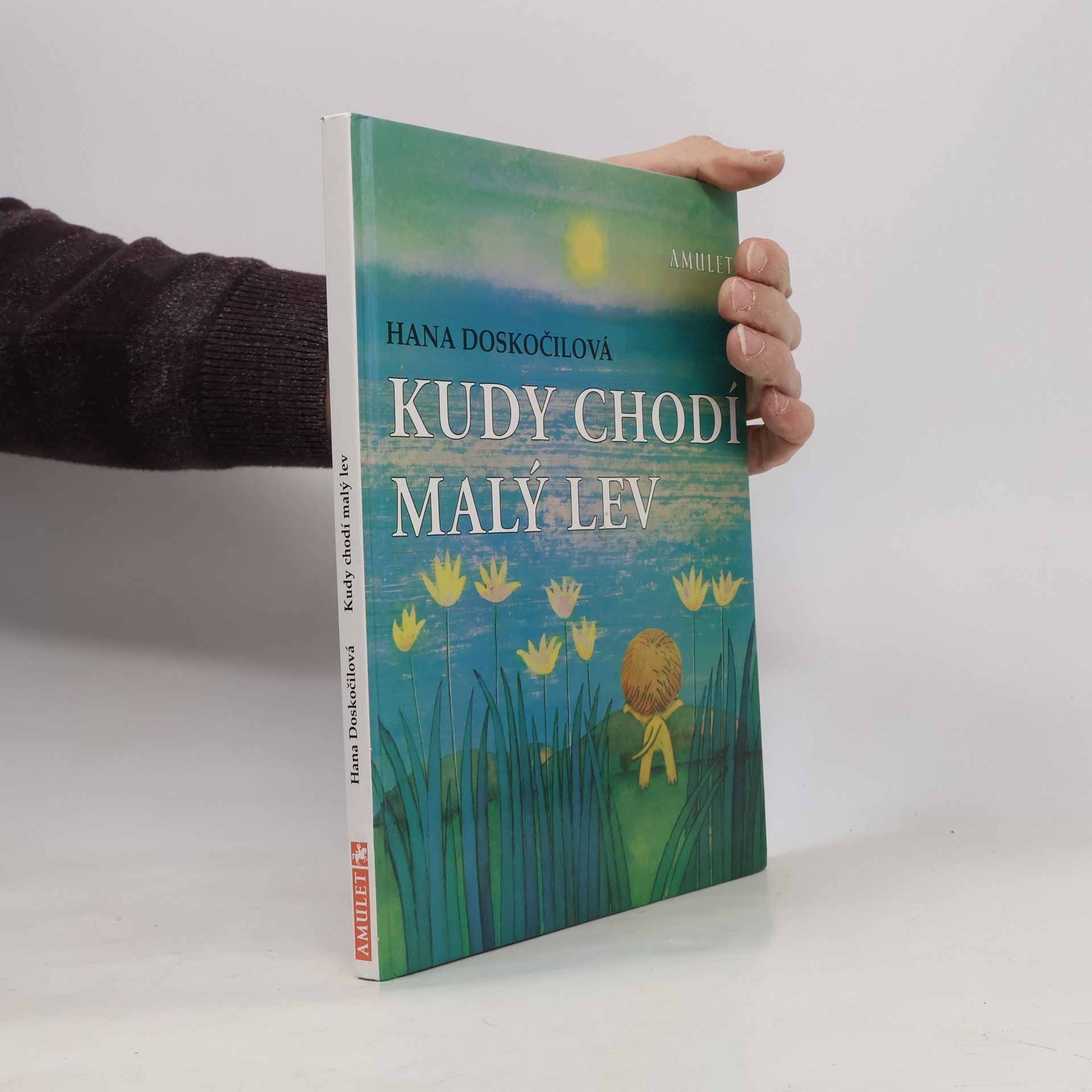 Hana Doskočilová Kudy chodí malý lev