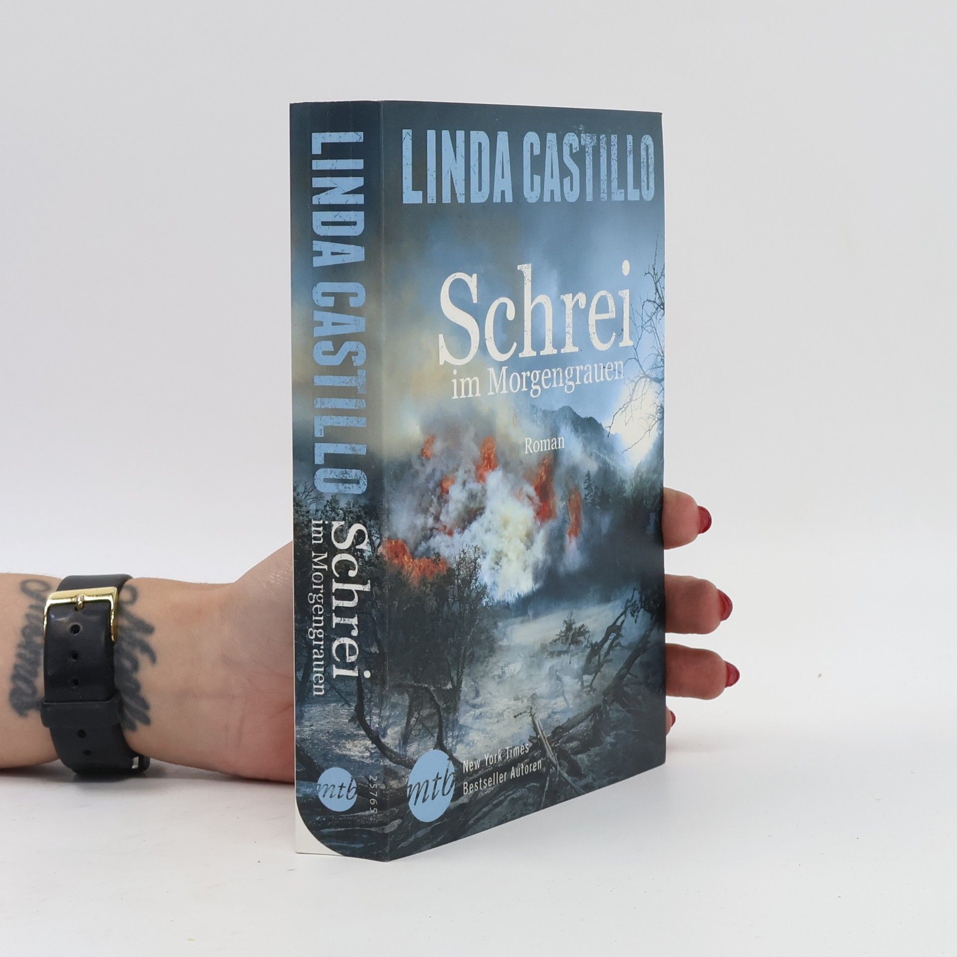 Linda Castillo Schrei im Morgengrauen