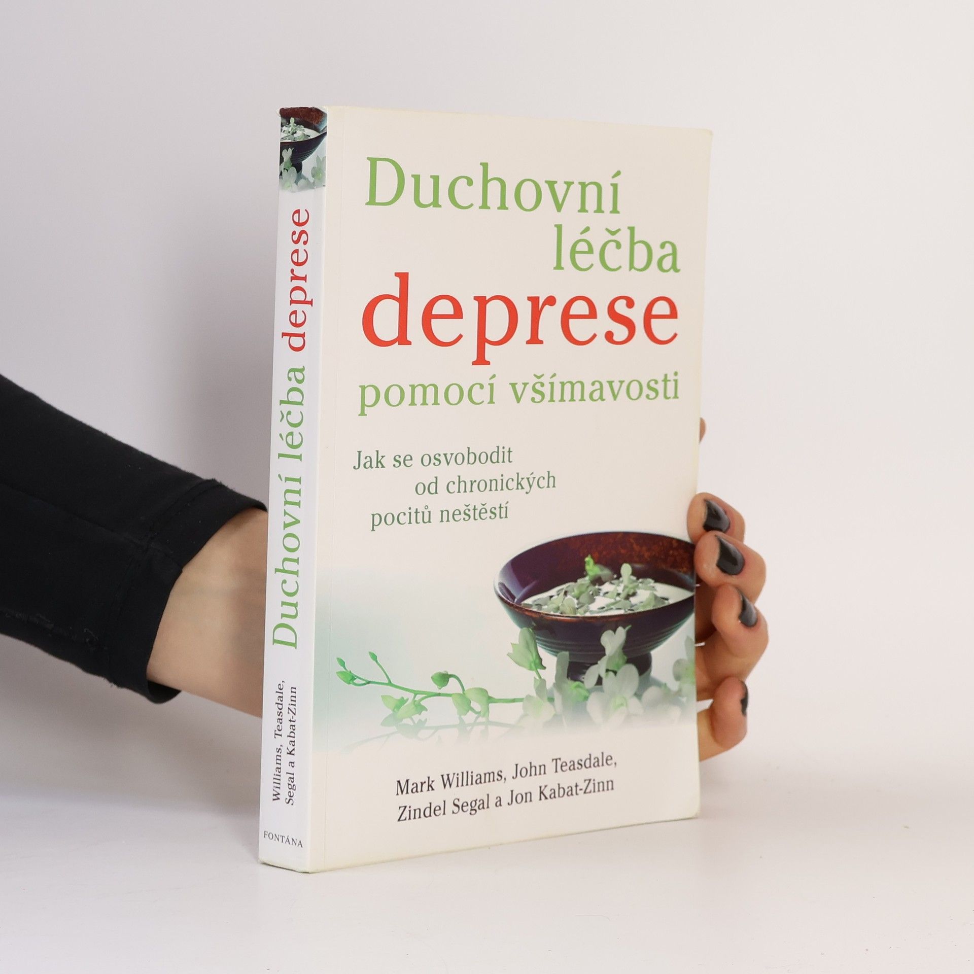Duchovní léčba deprese pomocí všímavosti - Jak se osvobodit od chronických pocitů neštěstí