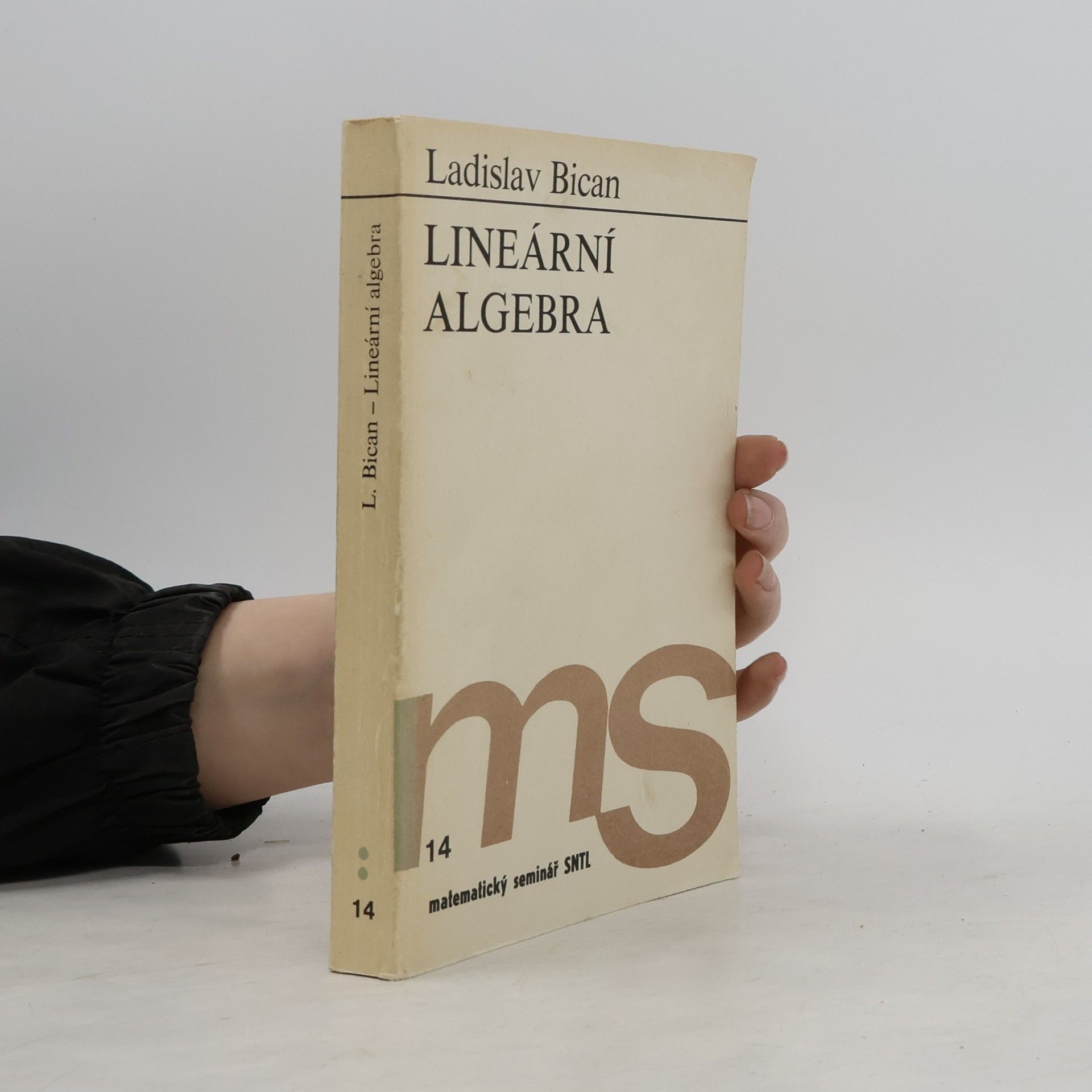 Ladislav Bican Lineární algebra v úlohách