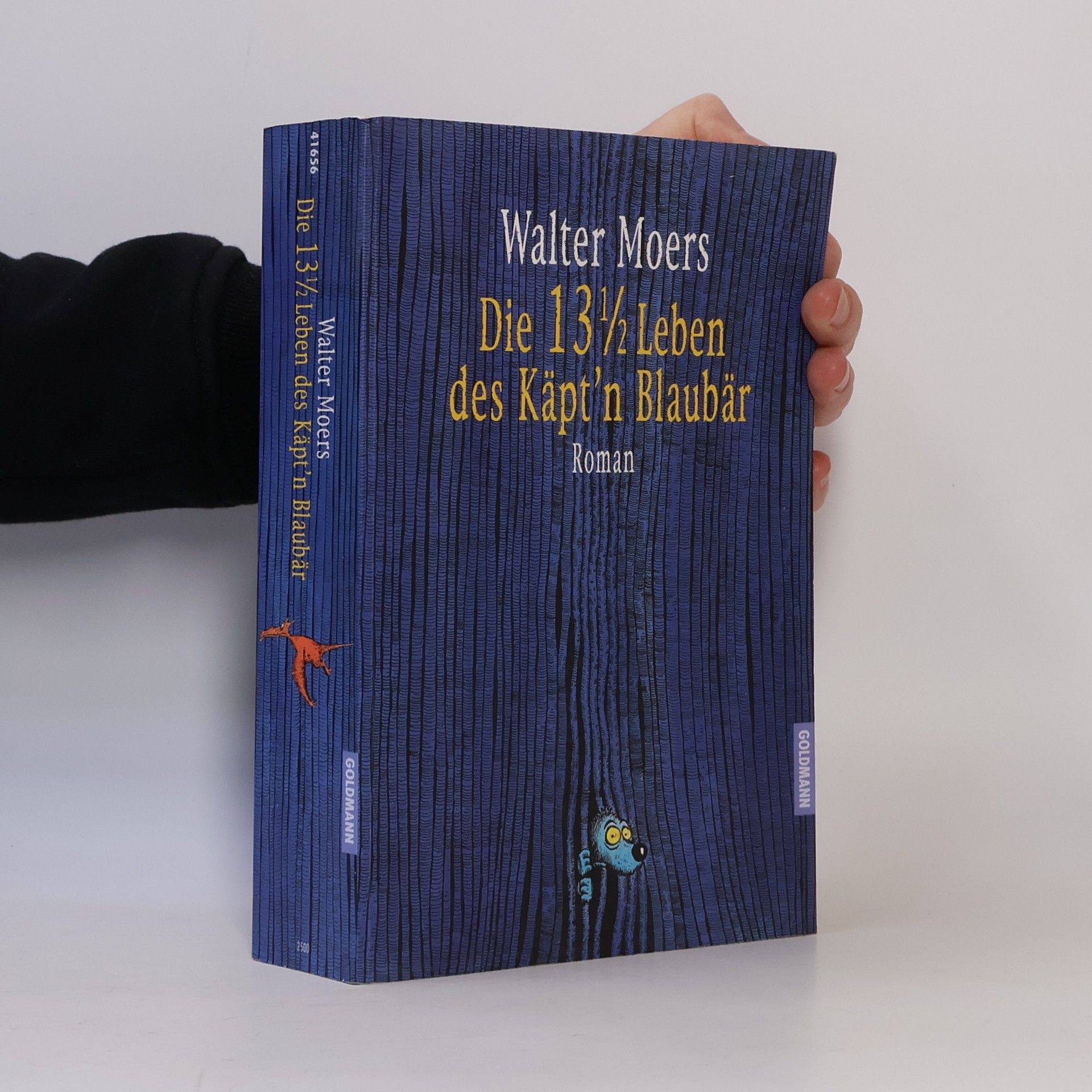 Walter Moers Die 13 1/2 Leben des Käpt’n Blaubär