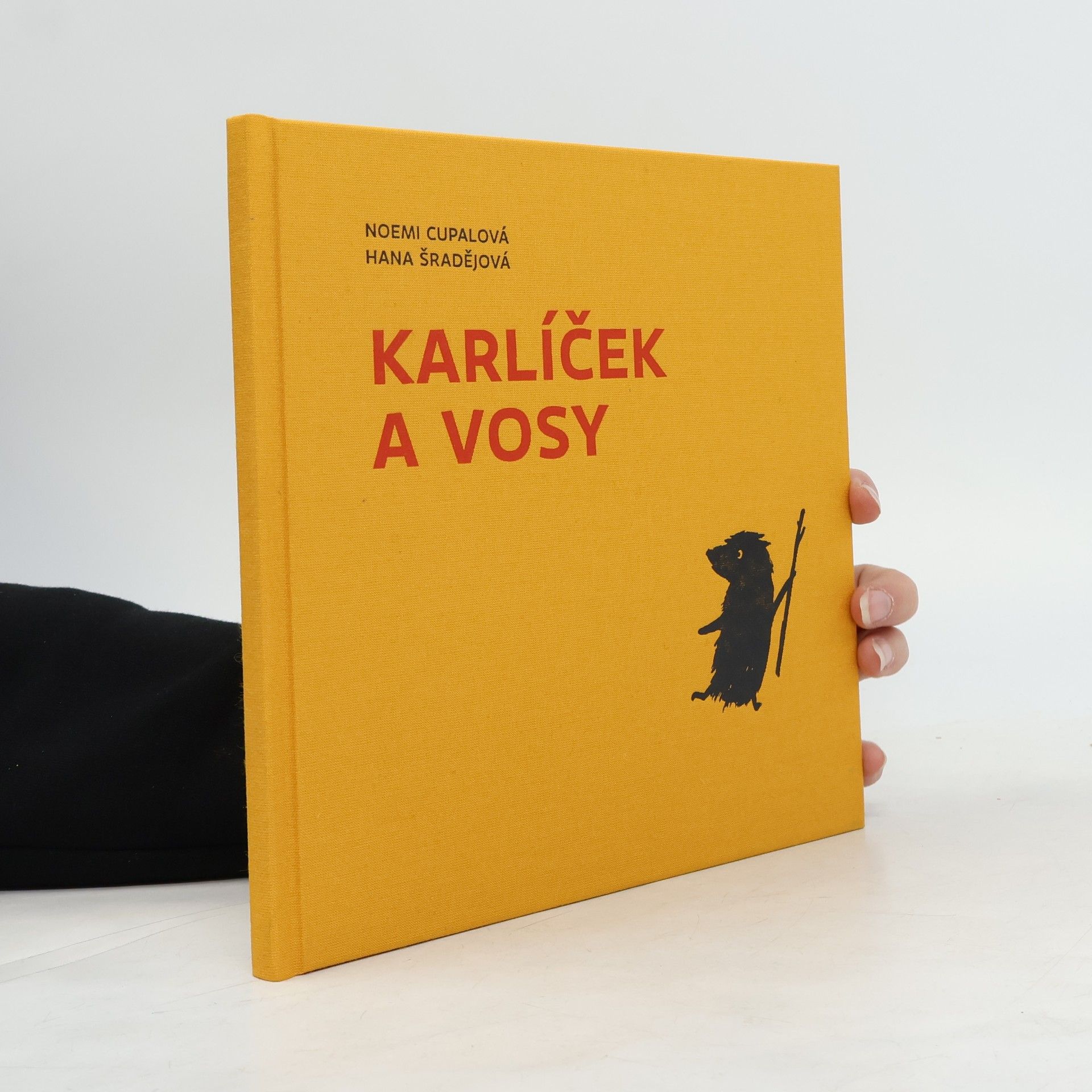 Hana Šradějová Karlíček a vosy : příběh vlídného nepřátelství