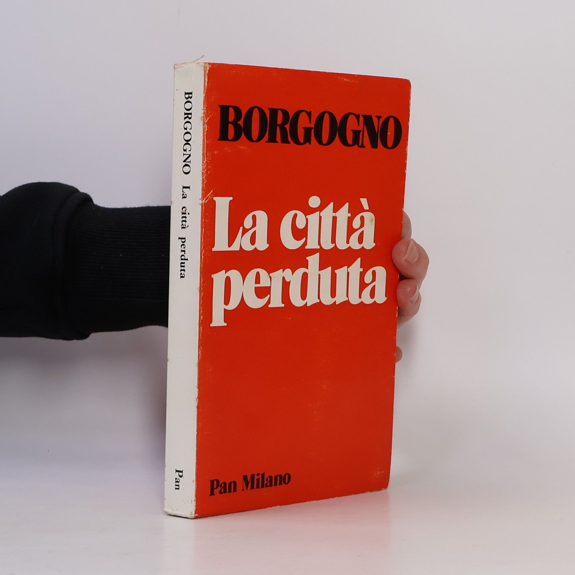 Anna Borgogno La città perduta