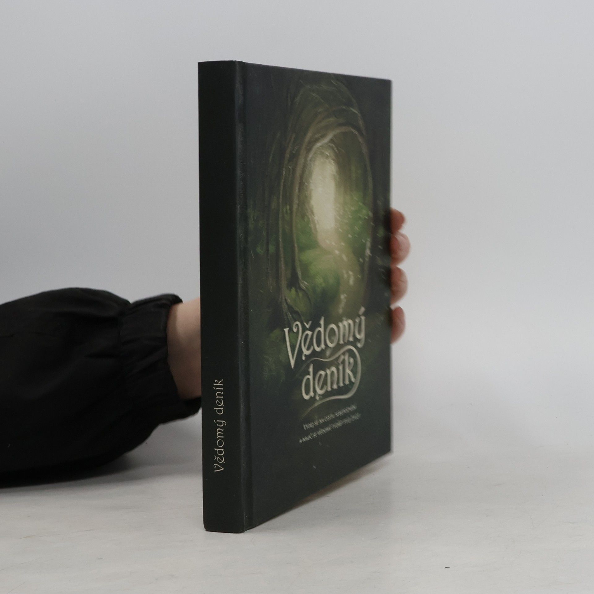 Kolektiv autorů Vědomý deník