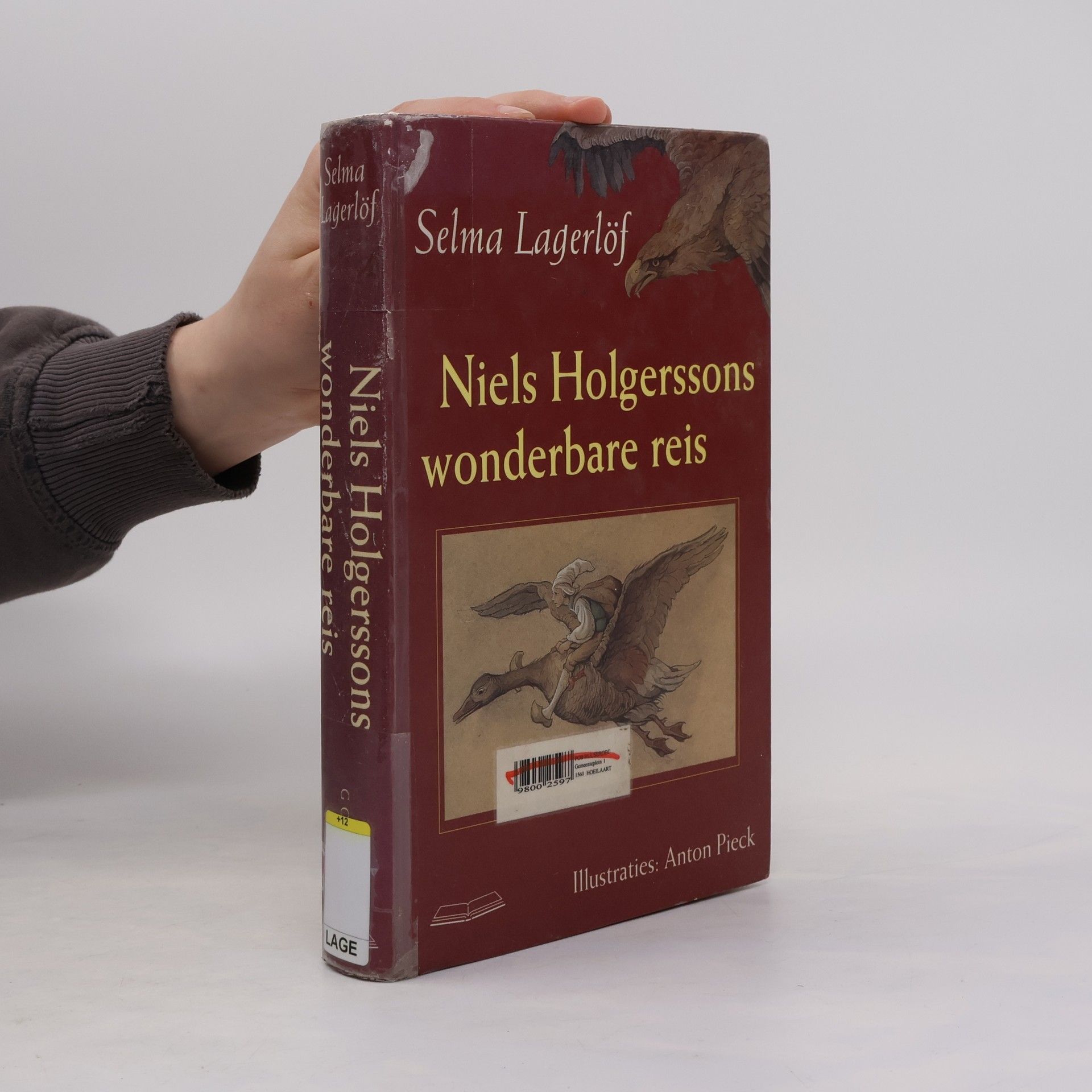 Margaretha Meyboom Niels Holgerssons wonderbare reis