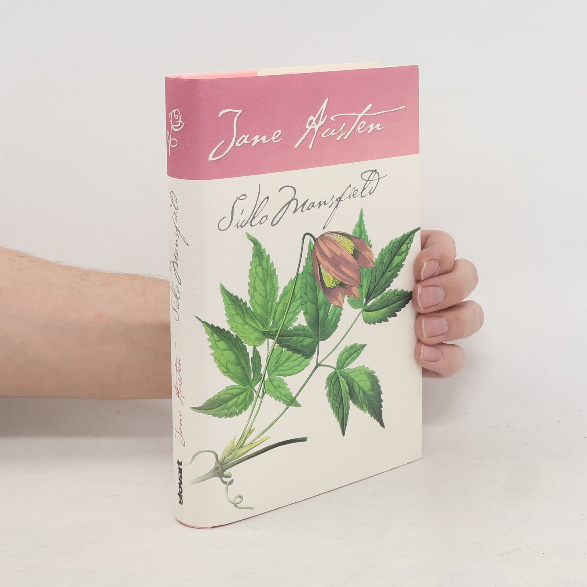 Jane Austen Sídlo Mansfield