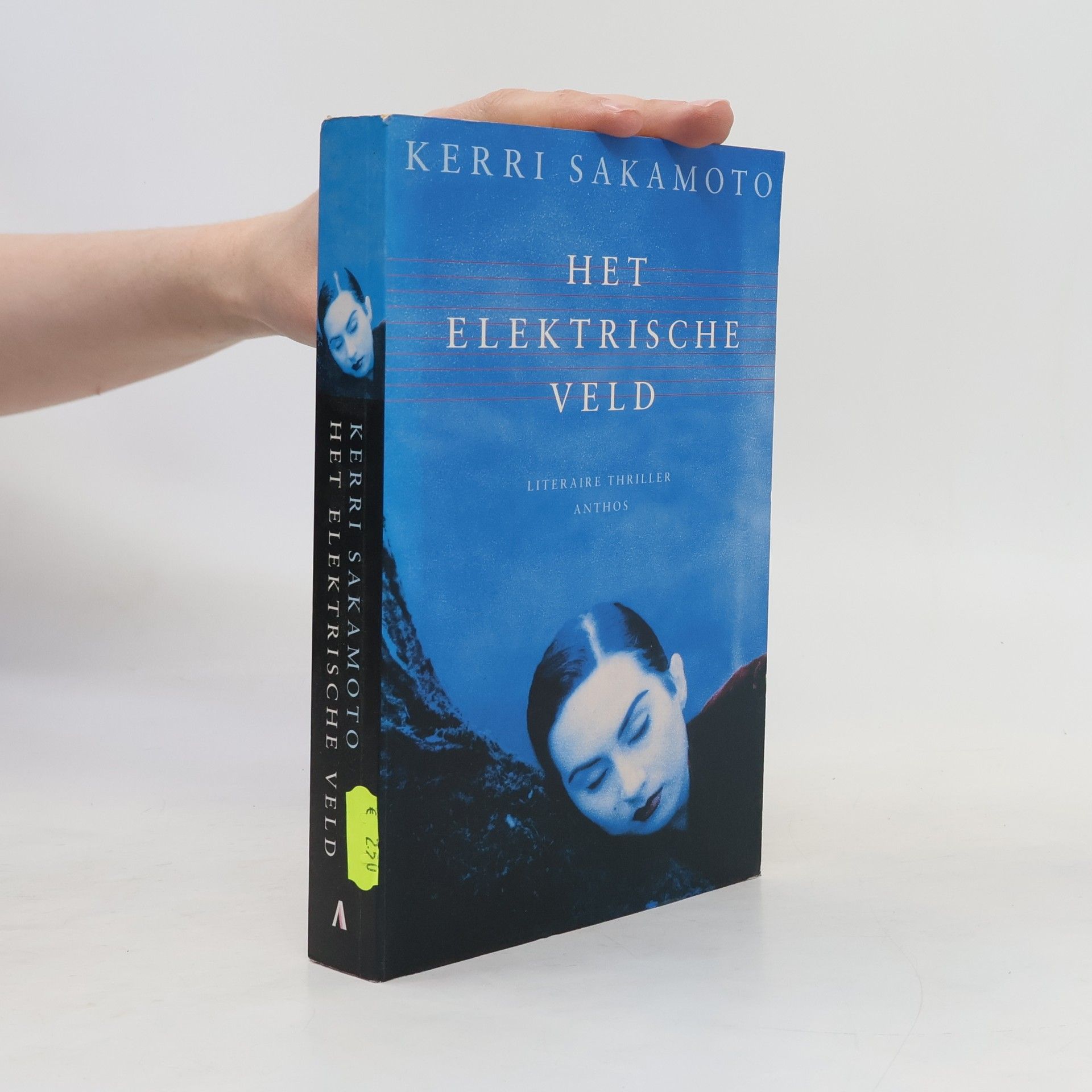 Harry Pallemans Het elektrische veld