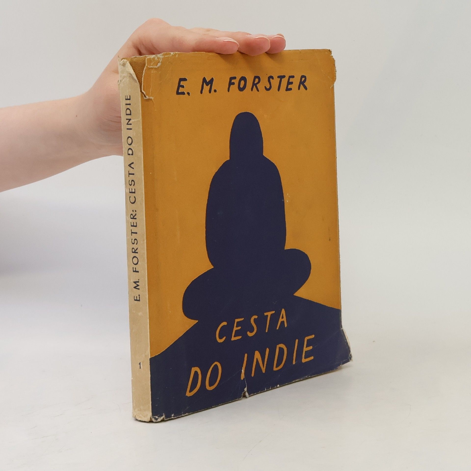 Edward Morgan Forster Cesta do Indie