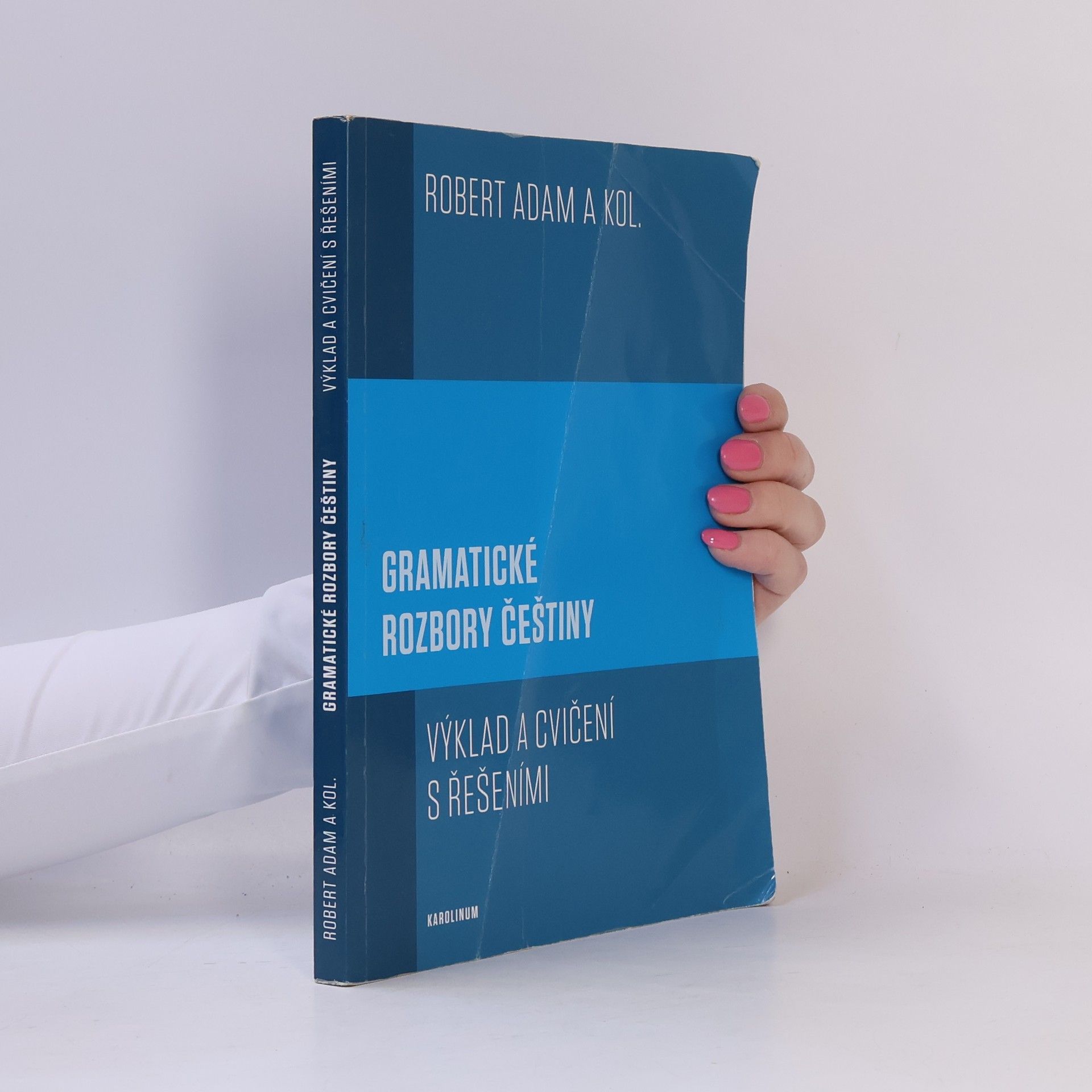 Robert Adam Gramatické rozbory češtiny