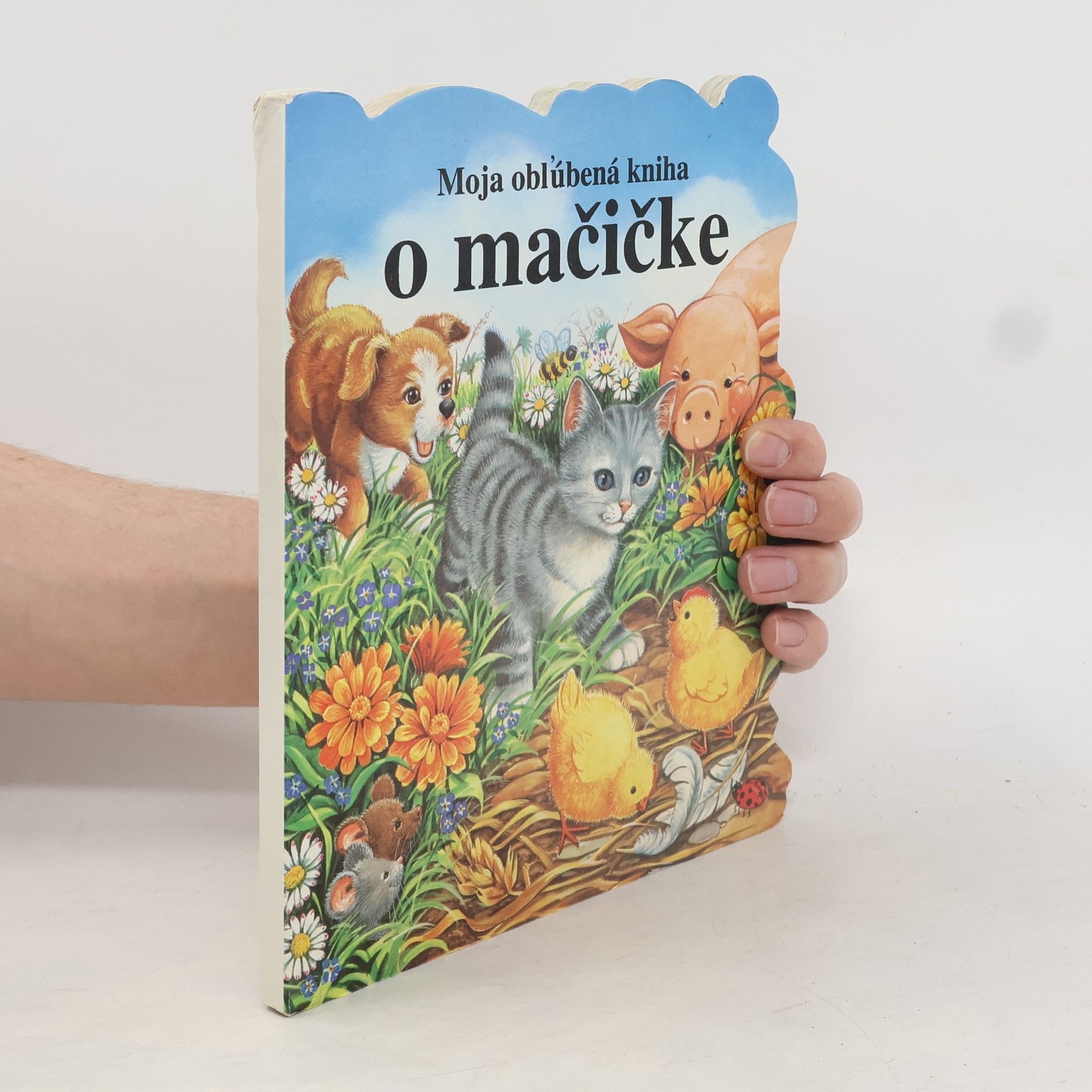 Autores varios Moja obľúbená kniha o mačičke