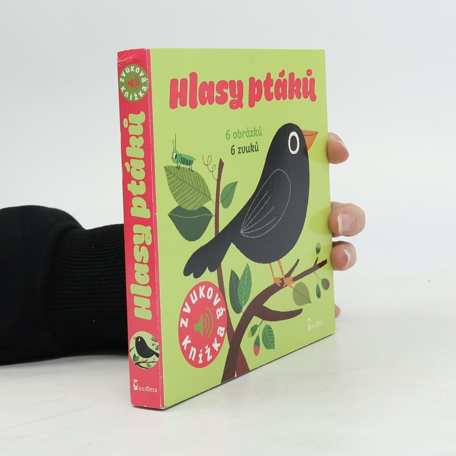 Hlasy ptáků : 6 obrázků, 6 zvuků