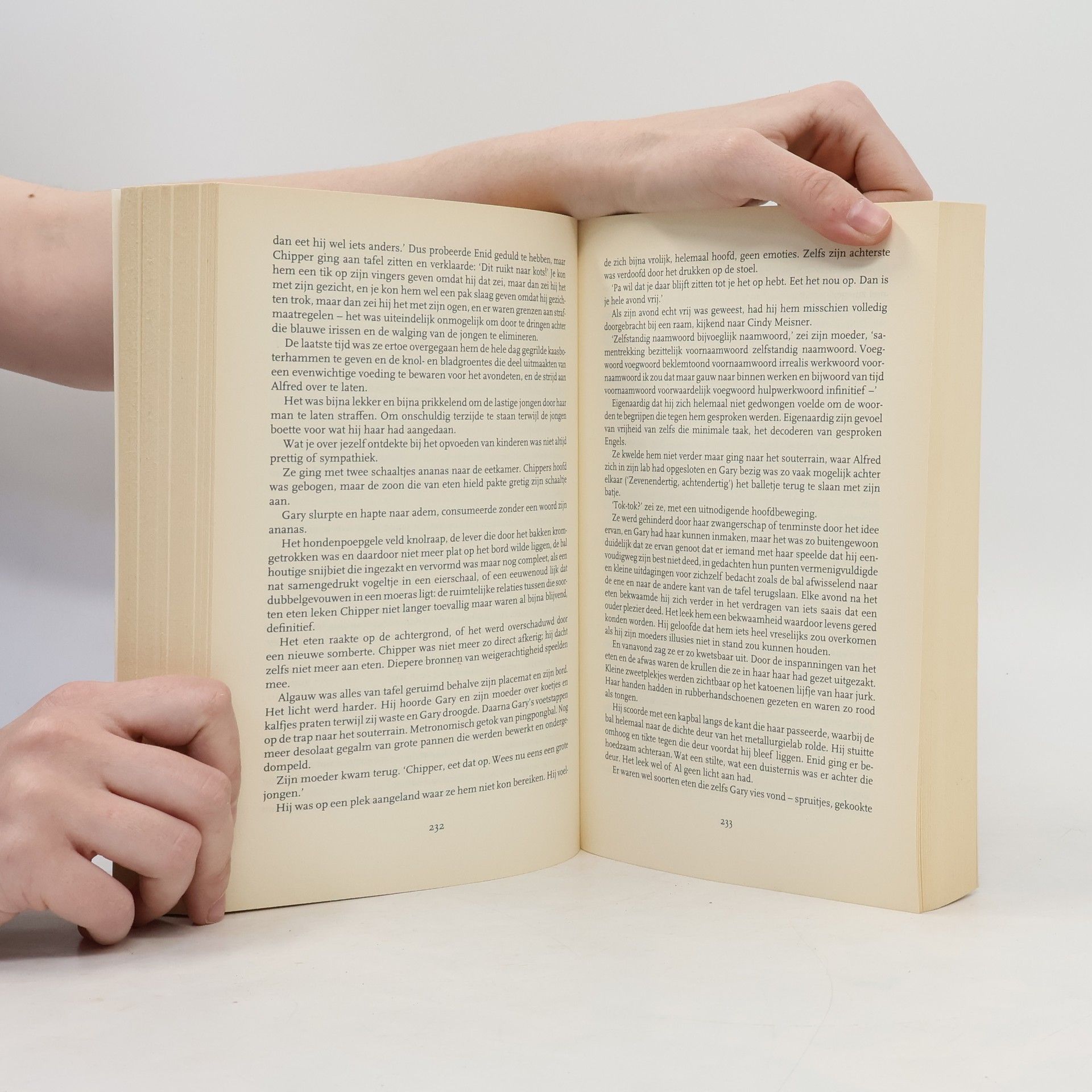 Jonathan Franzen De correcties