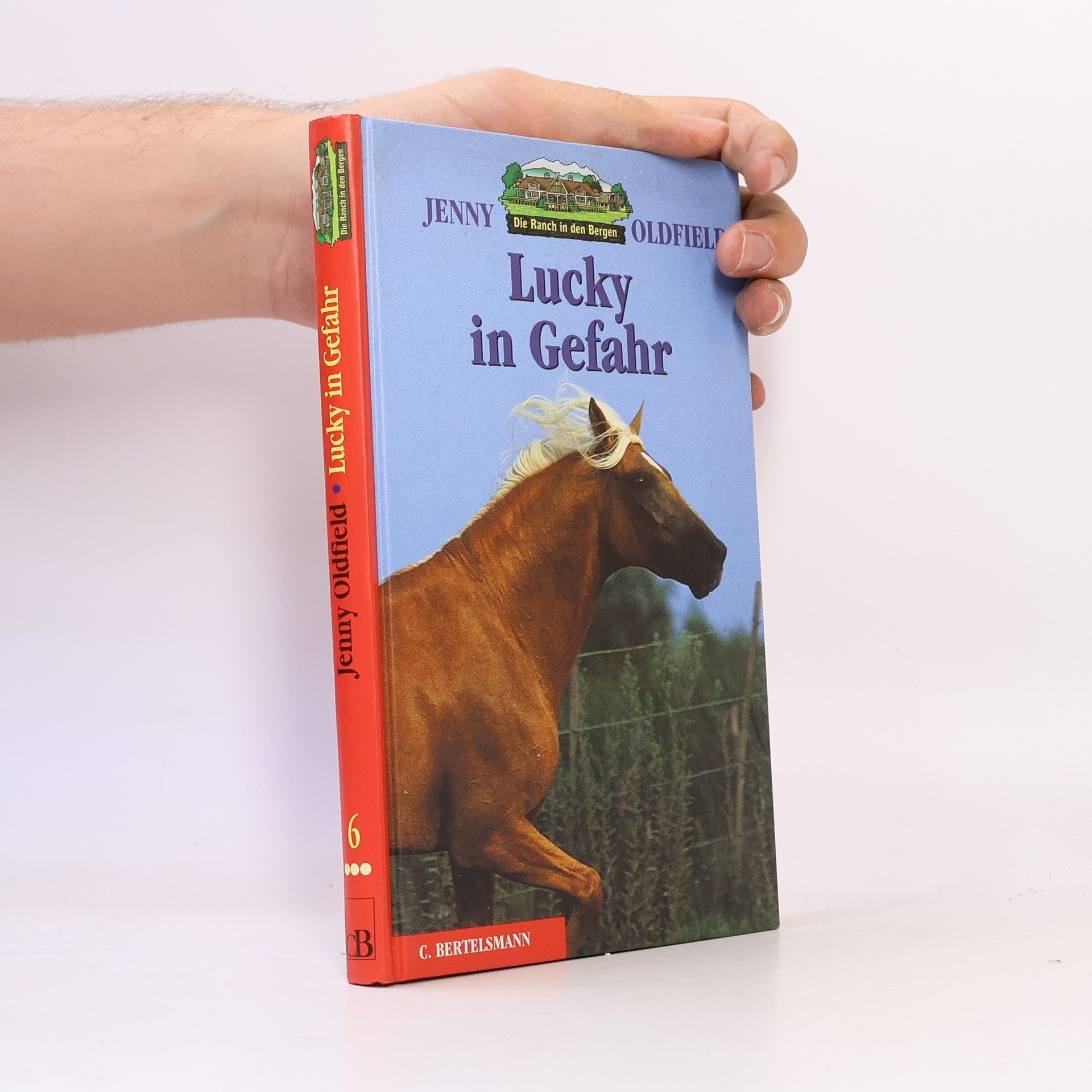 Jenny Oldfield Lucky in Gefahr. Aus d. Engl. v. Birgit van der Avoort
