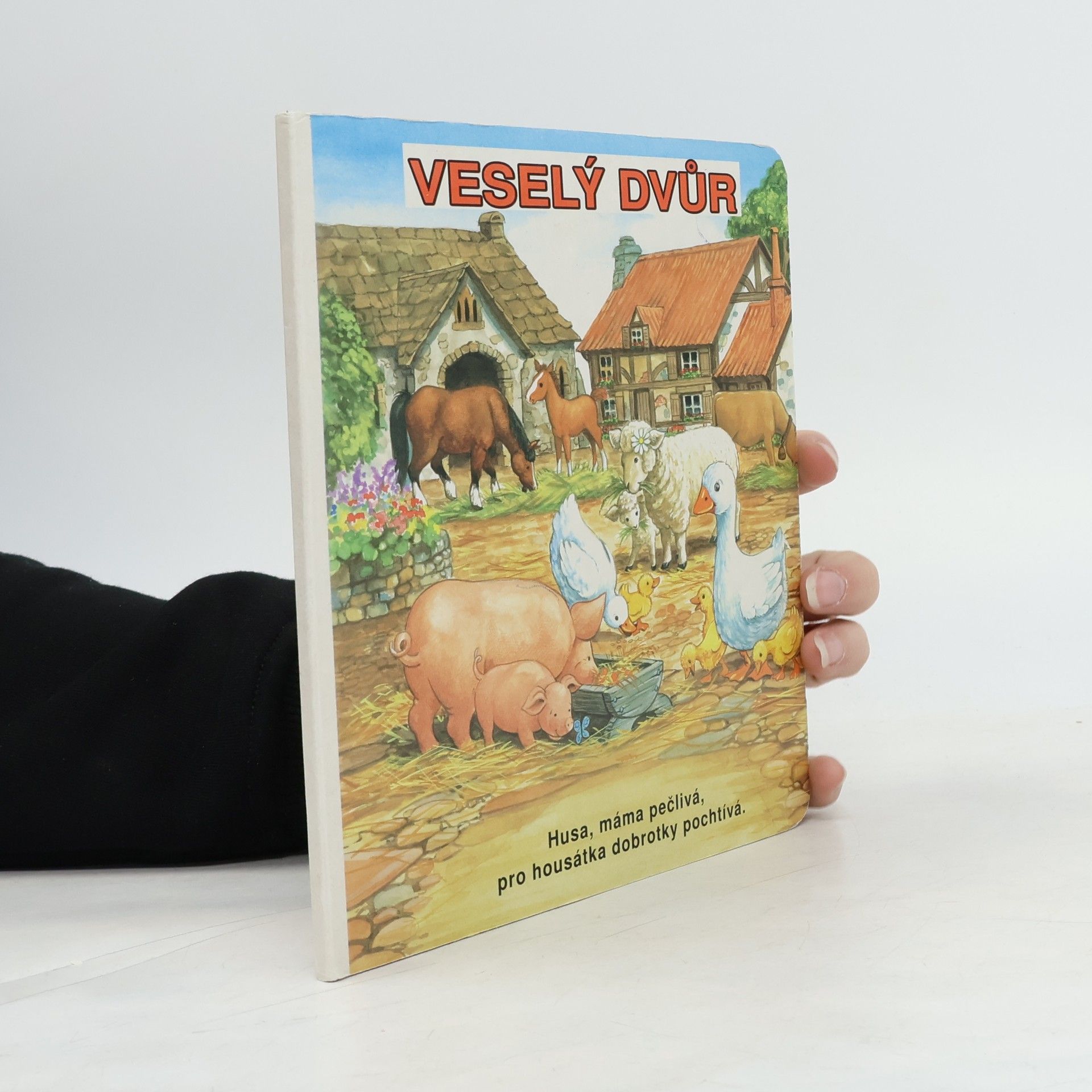 Autorenkollektiv Veselý dvůr