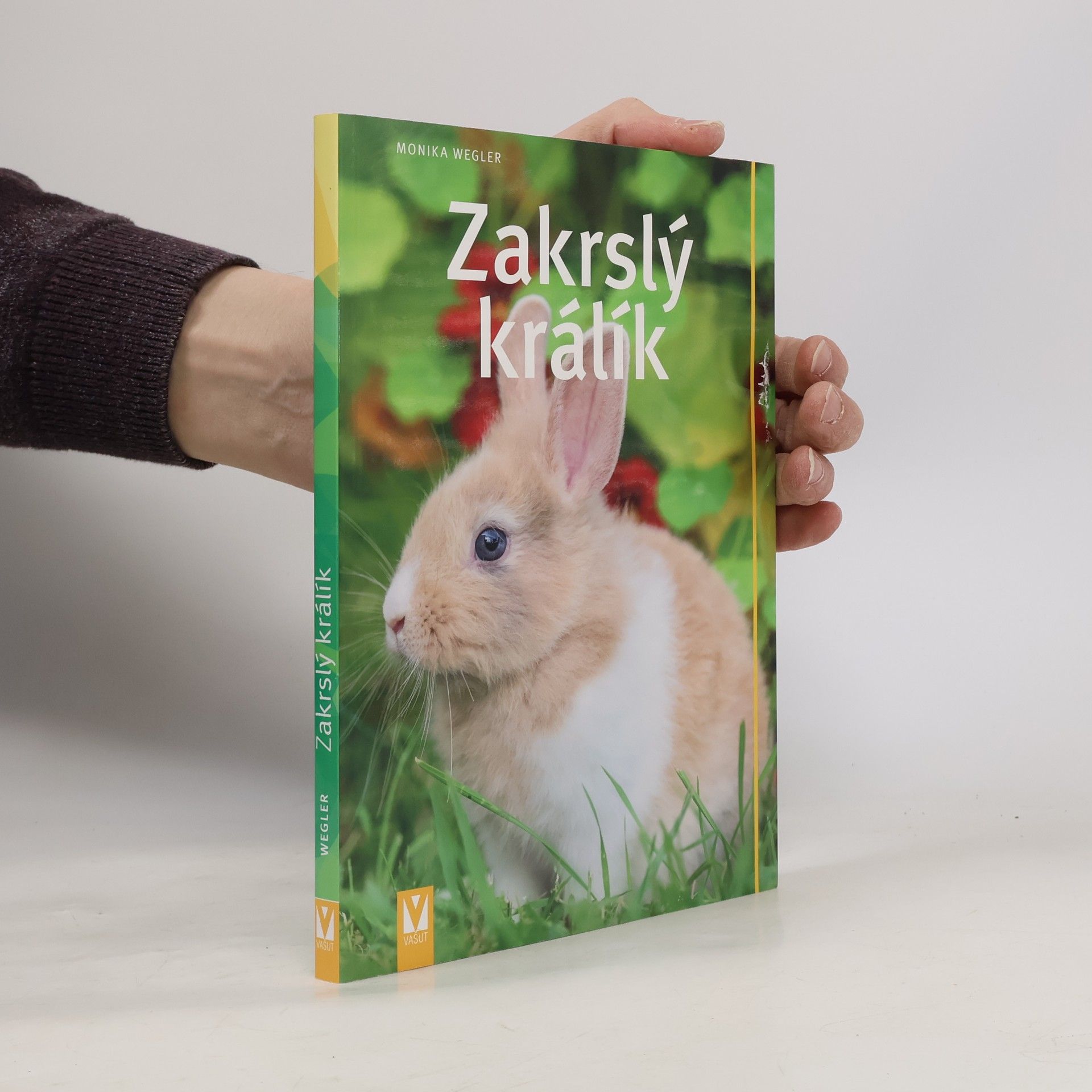Monika Wegler Zakrslý králík